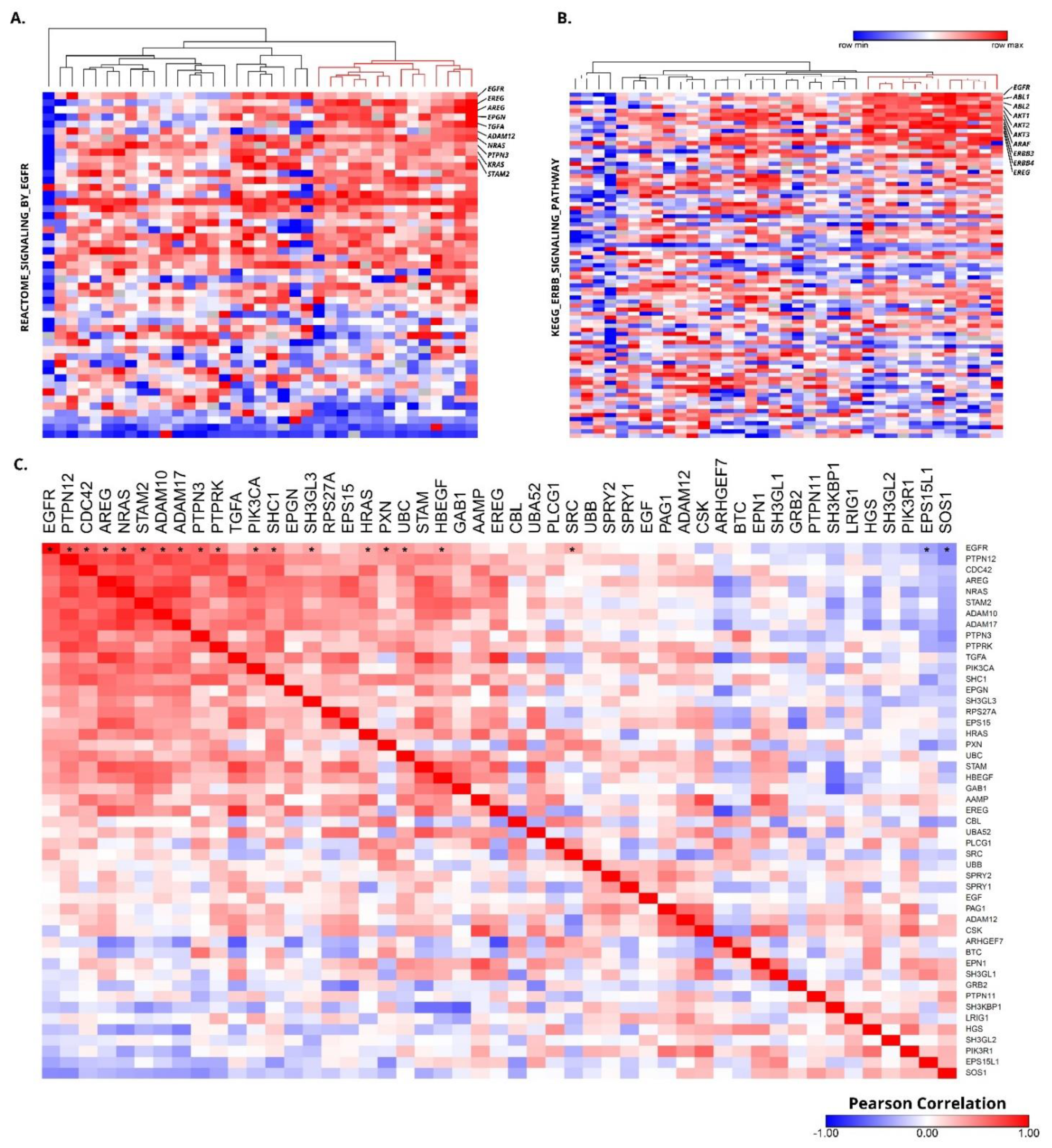 Cells 10 00814 g005 Cells 10 00814 g005