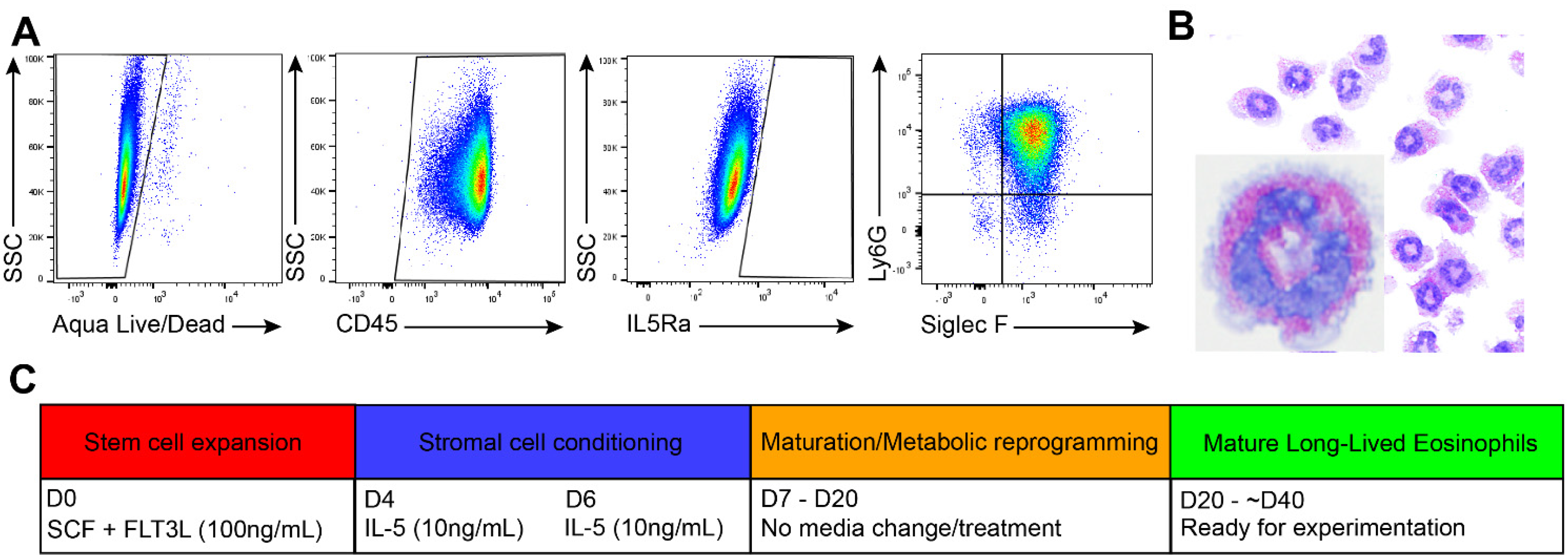 Cells 10 00815 g001 Cells 10 00815 g001