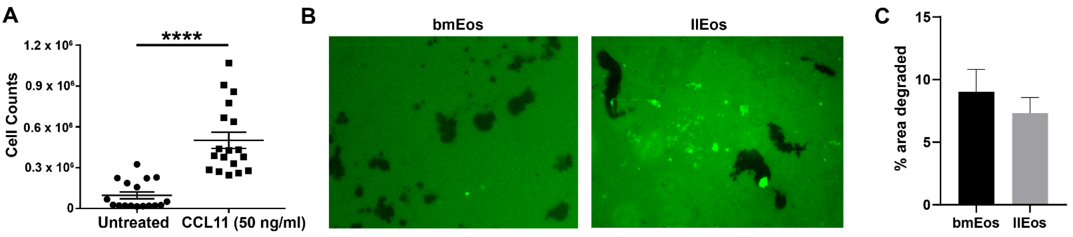 Cells 10 00815 g003 Cells 10 00815 g003