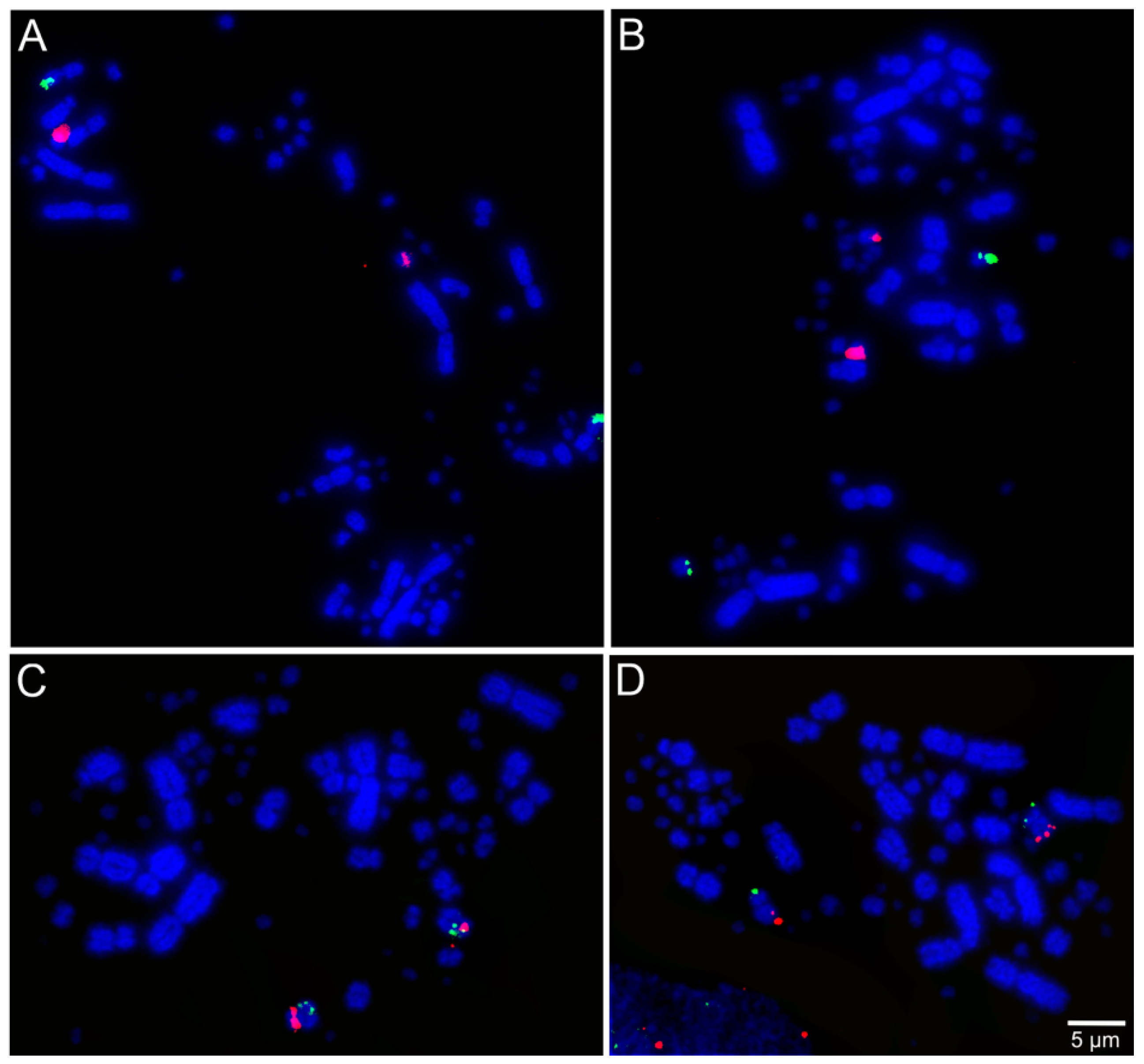 Cells 10 00826 g002