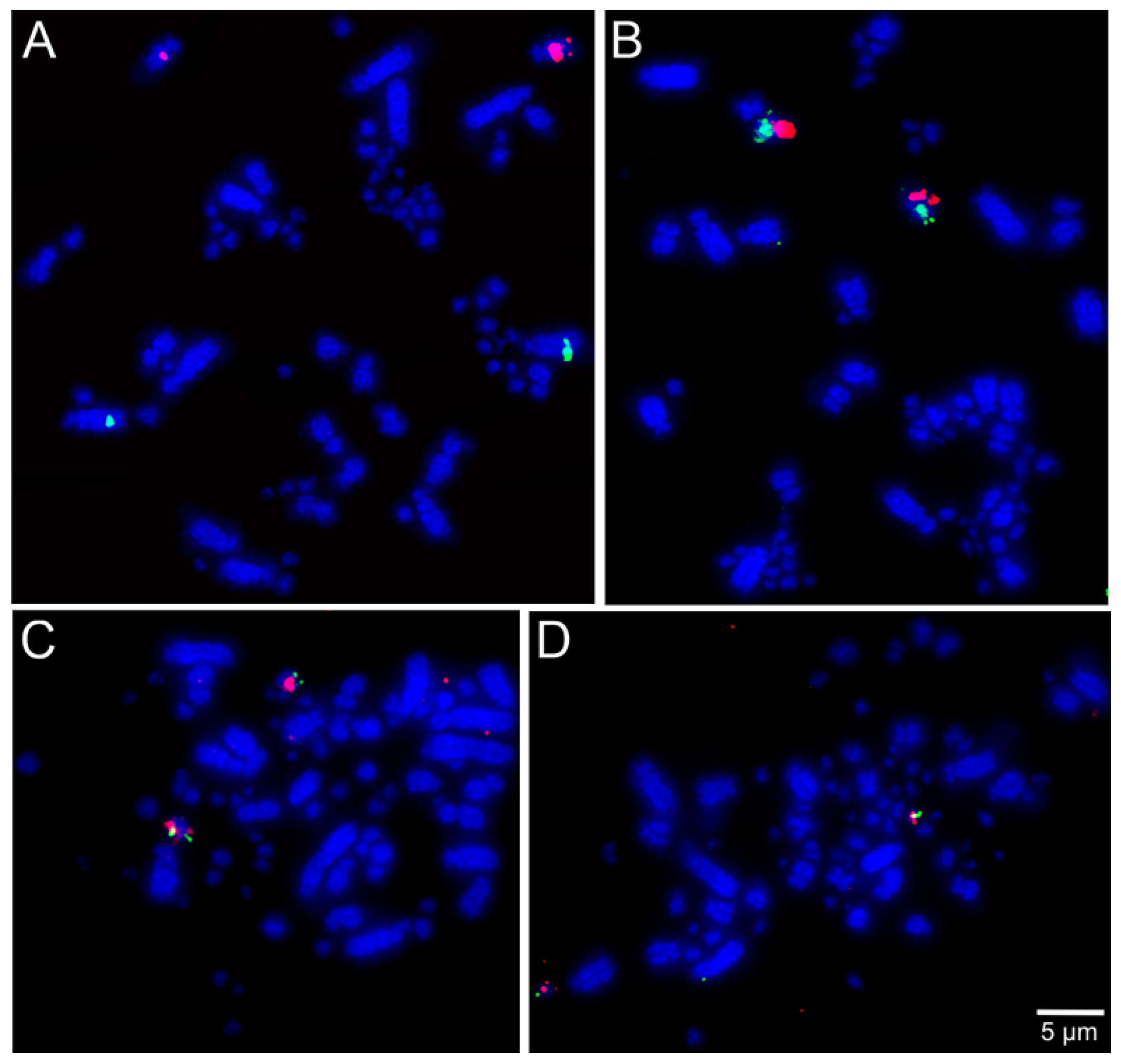 Cells 10 00826 g003