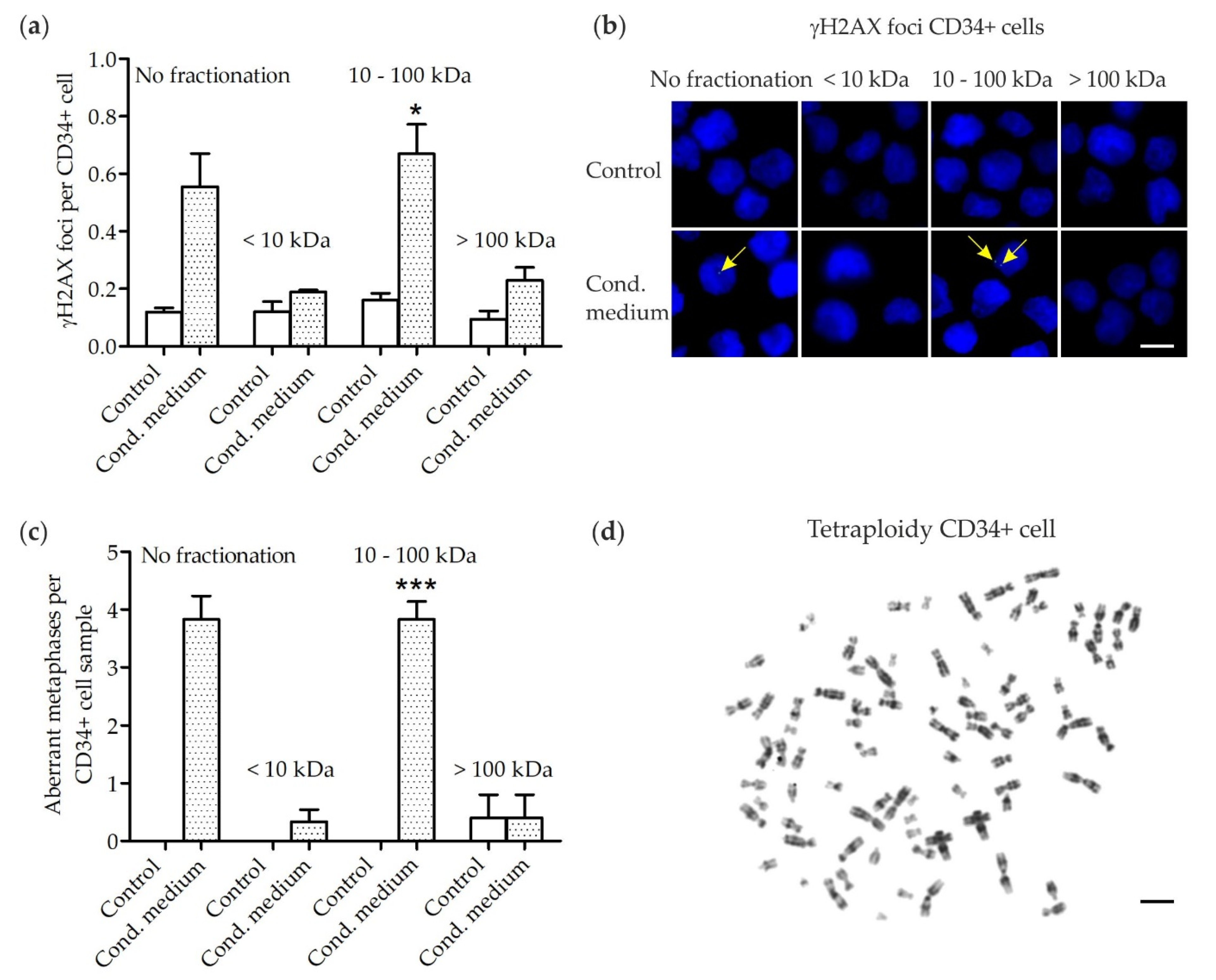 Cells 10 00827 g001 Cells 10 00827 g001