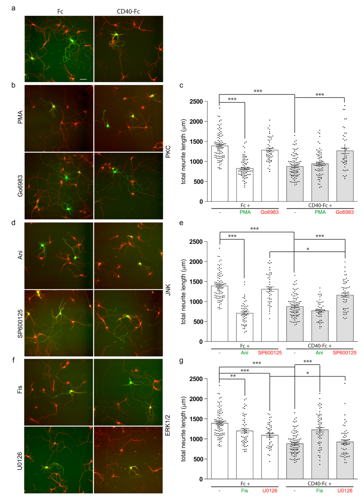 Cells 10 00829 g002 Cells 10 00829 g002