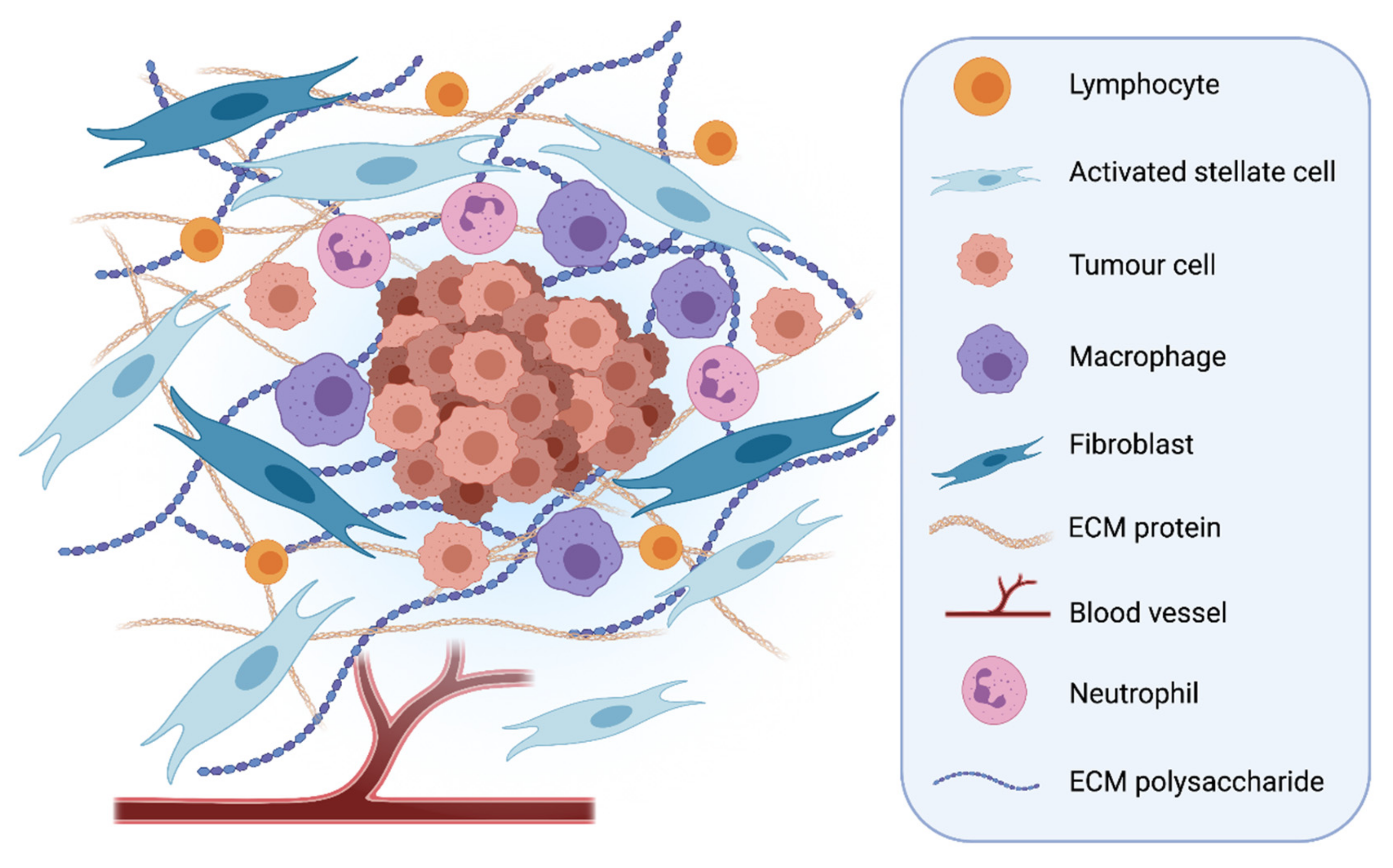 Cells 10 00847 g001 Cells 10 00847 g001