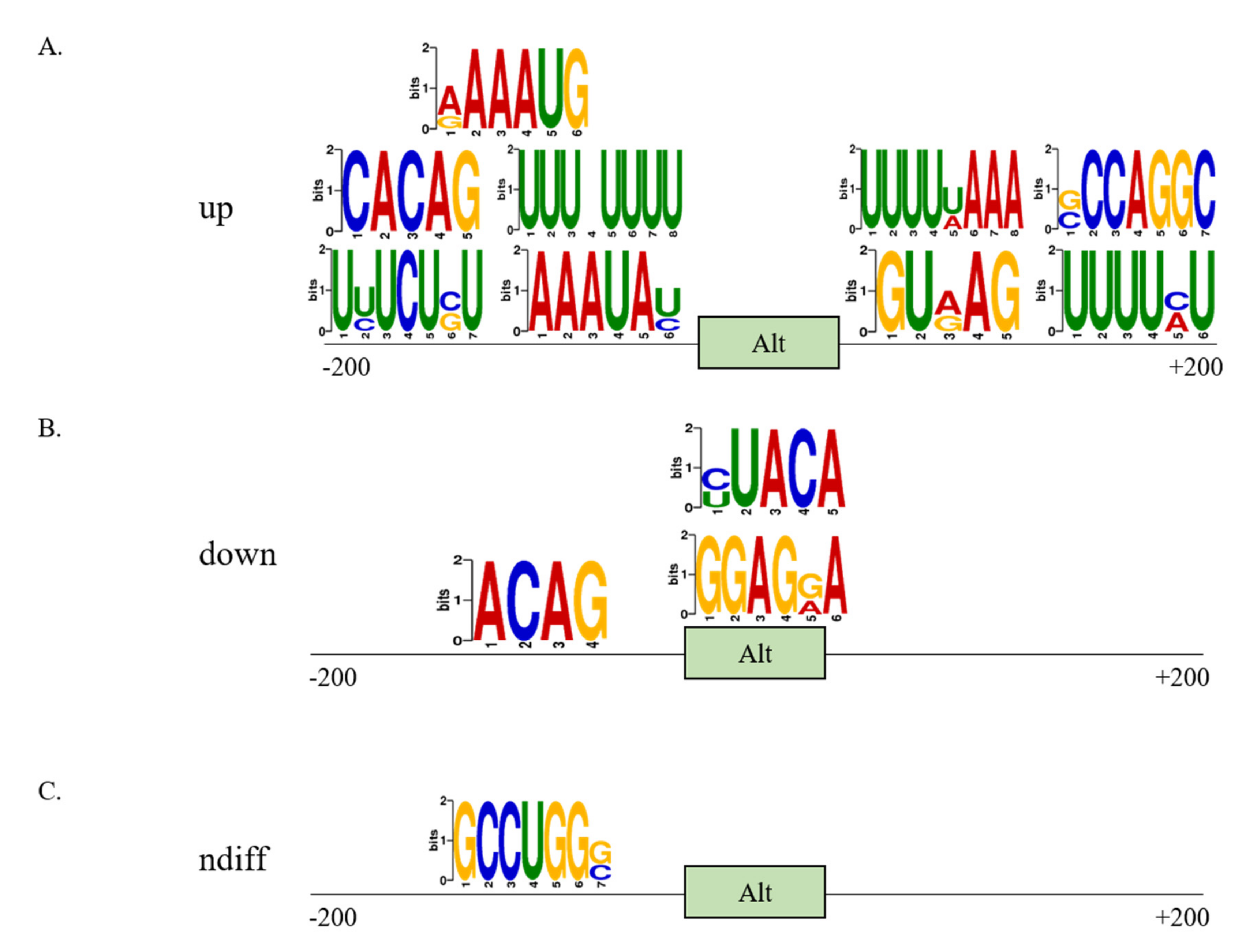Cells 10 00858 g003