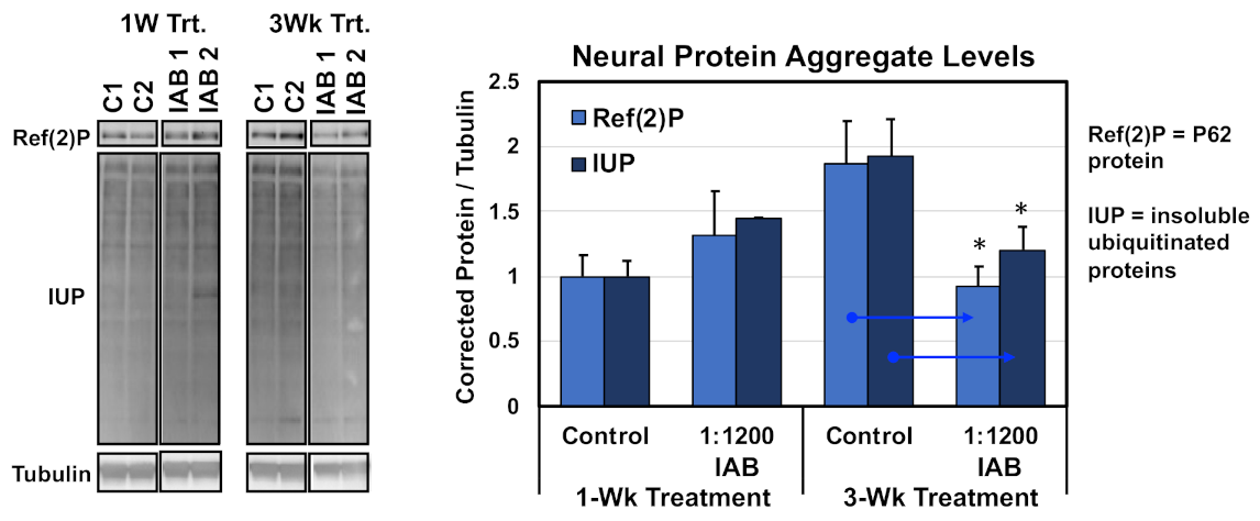 Cells 10 00900 g002 Cells 10 00900 g002