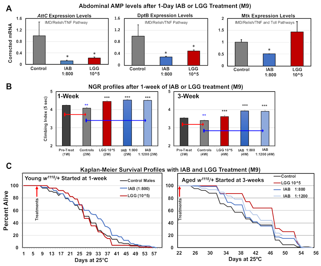 Cells 10 00900 g005 Cells 10 00900 g005