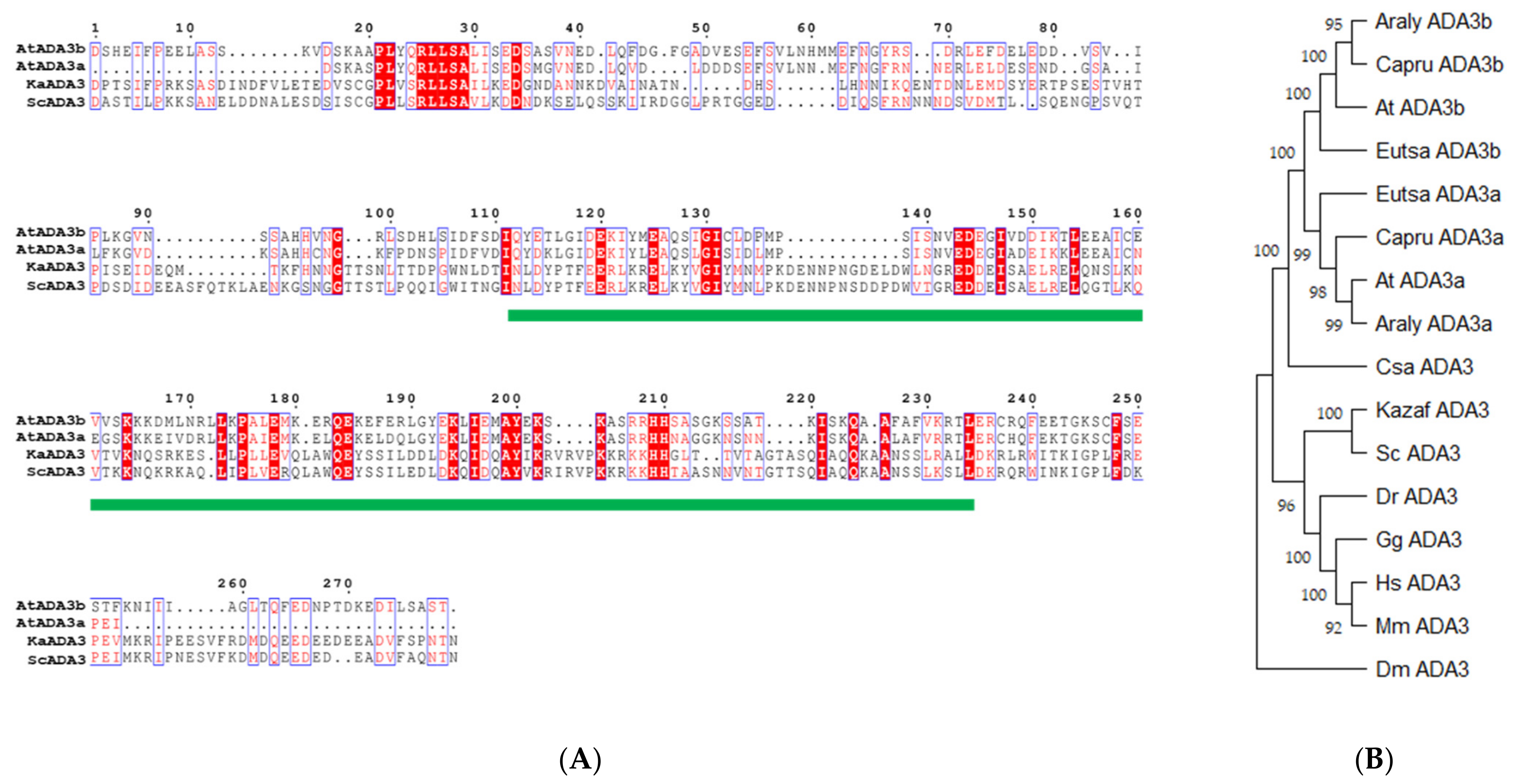 Cells 10 00904 g001 Cells 10 00904 g001