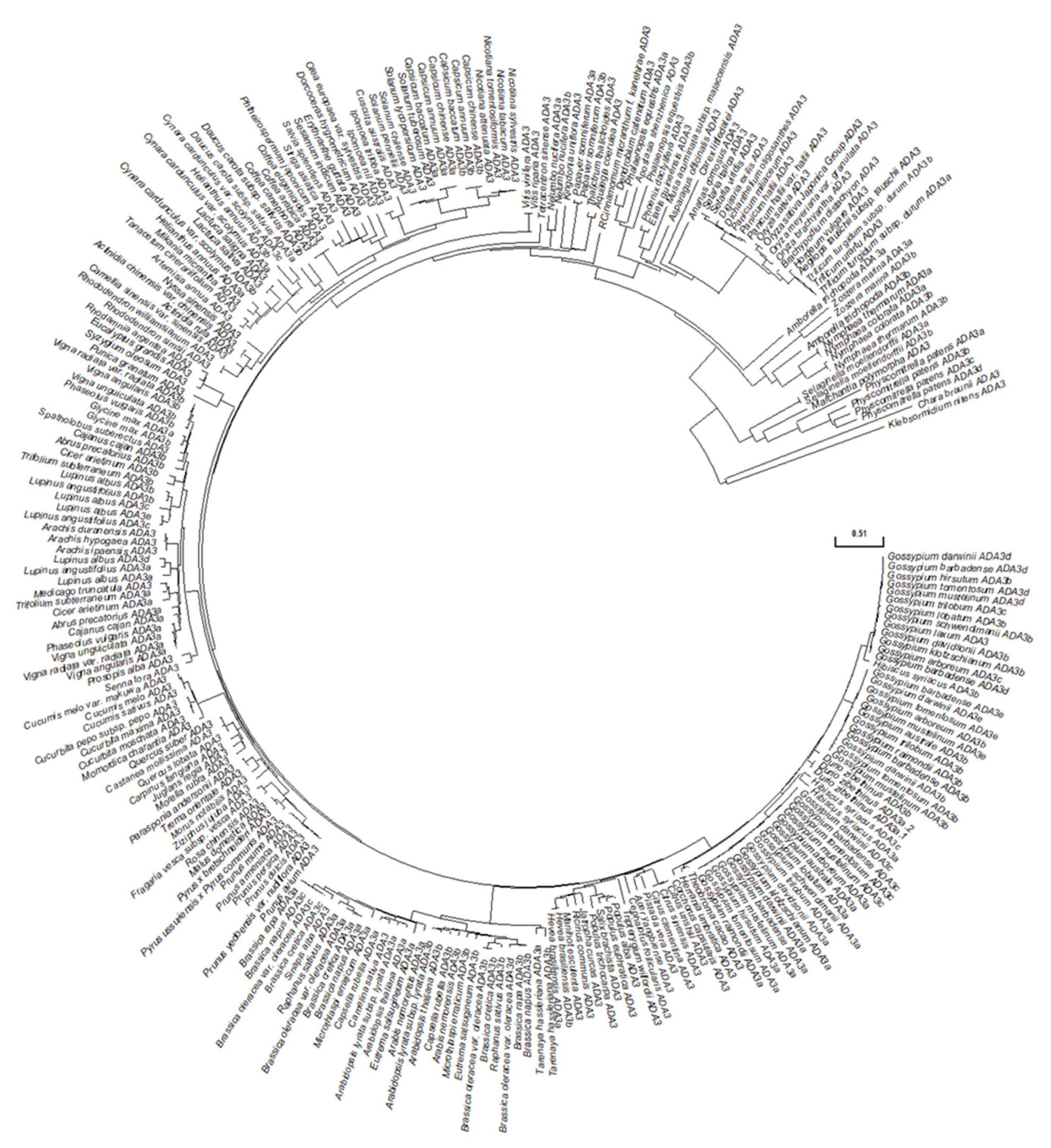 Cells 10 00904 g002 Cells 10 00904 g002