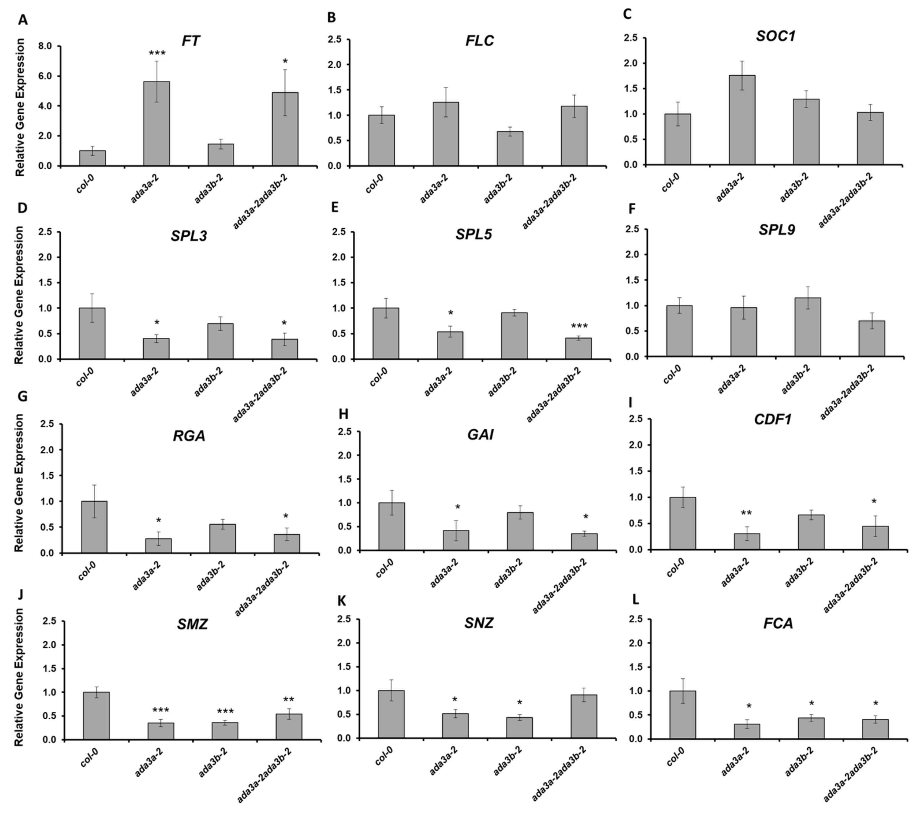 Cells 10 00904 g006 Cells 10 00904 g006
