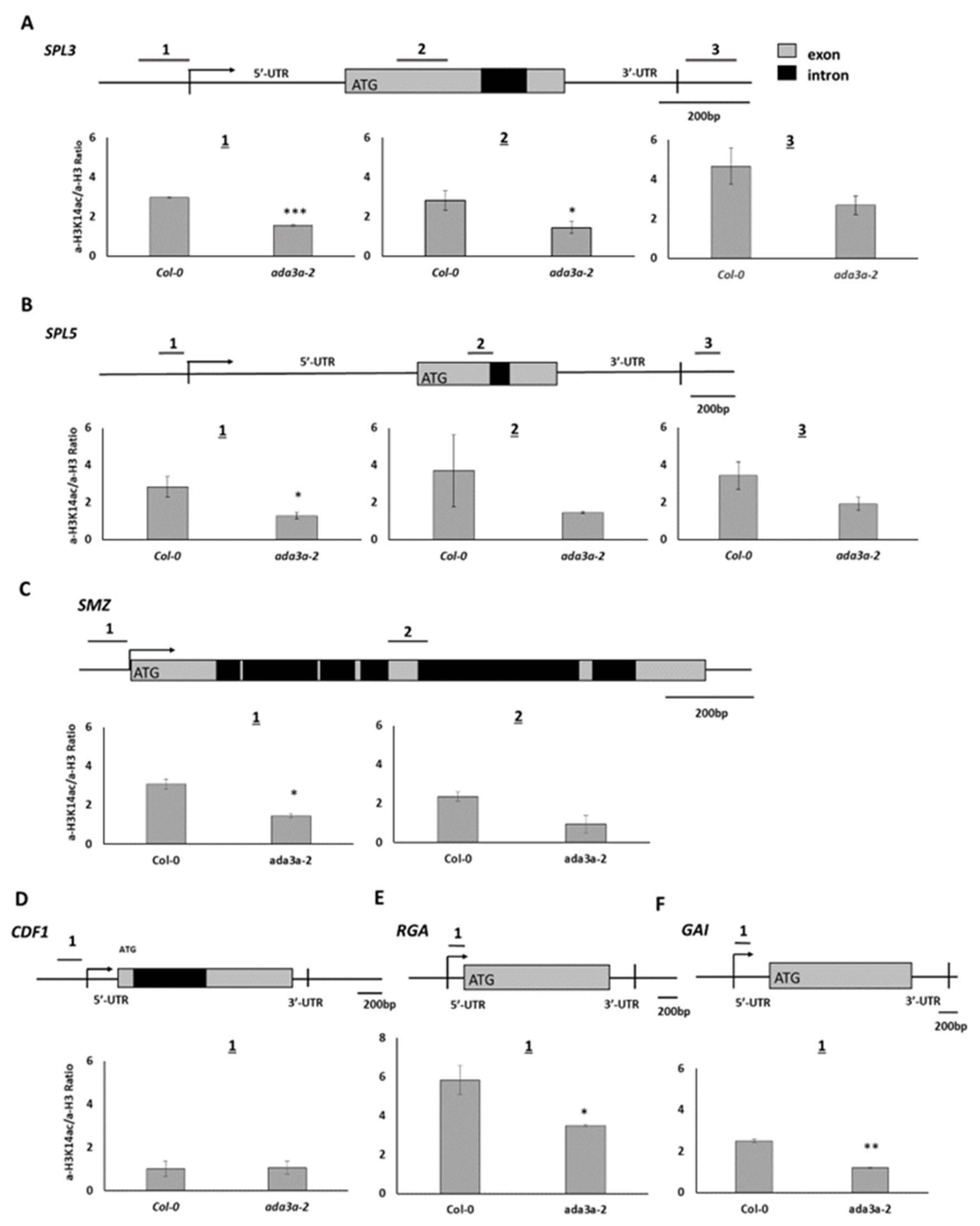 Cells 10 00904 g007 Cells 10 00904 g007