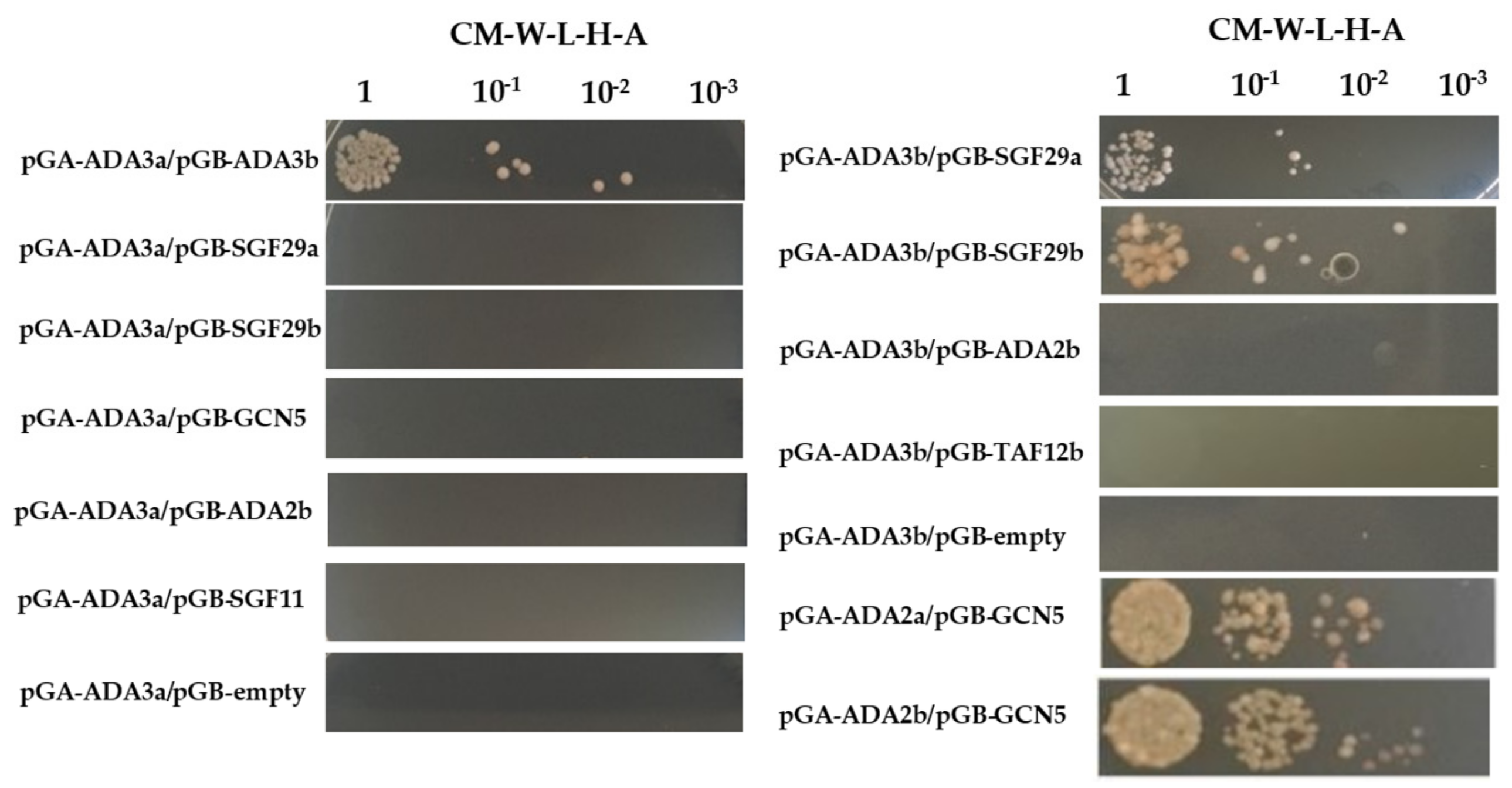 Cells 10 00904 g008 Cells 10 00904 g008