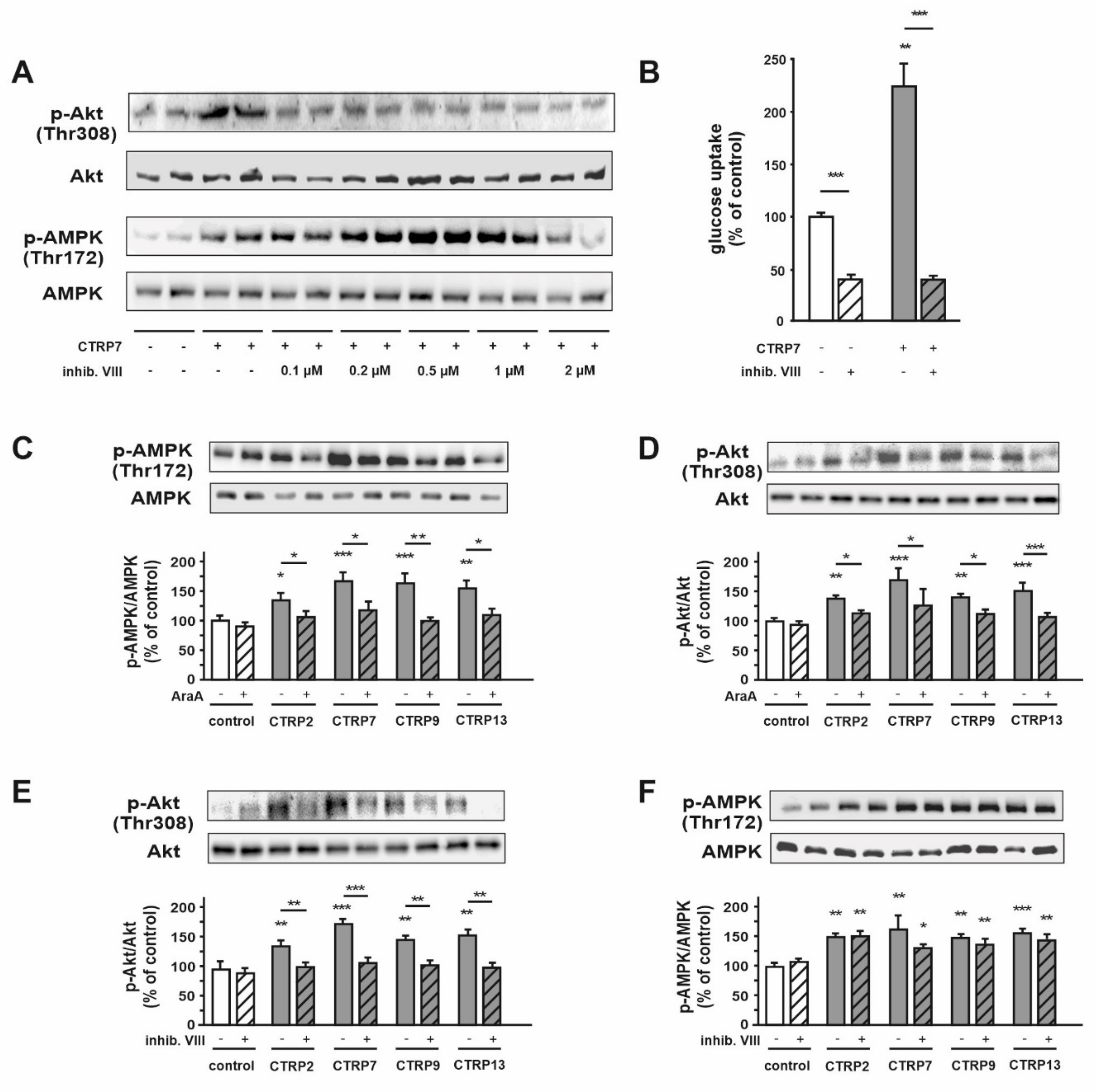 Cells 10 00905 g003 Cells 10 00905 g003