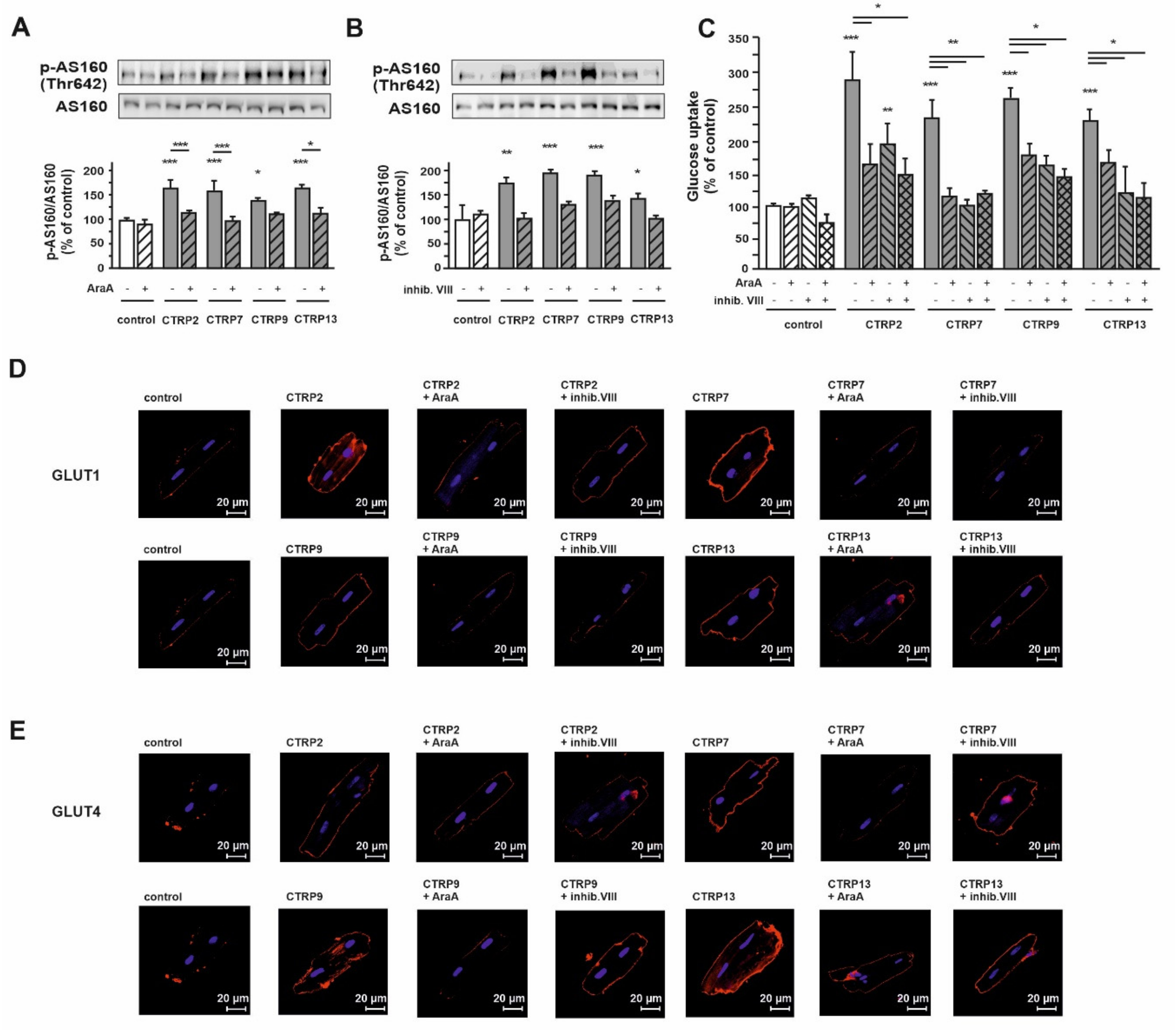 Cells 10 00905 g004 Cells 10 00905 g004