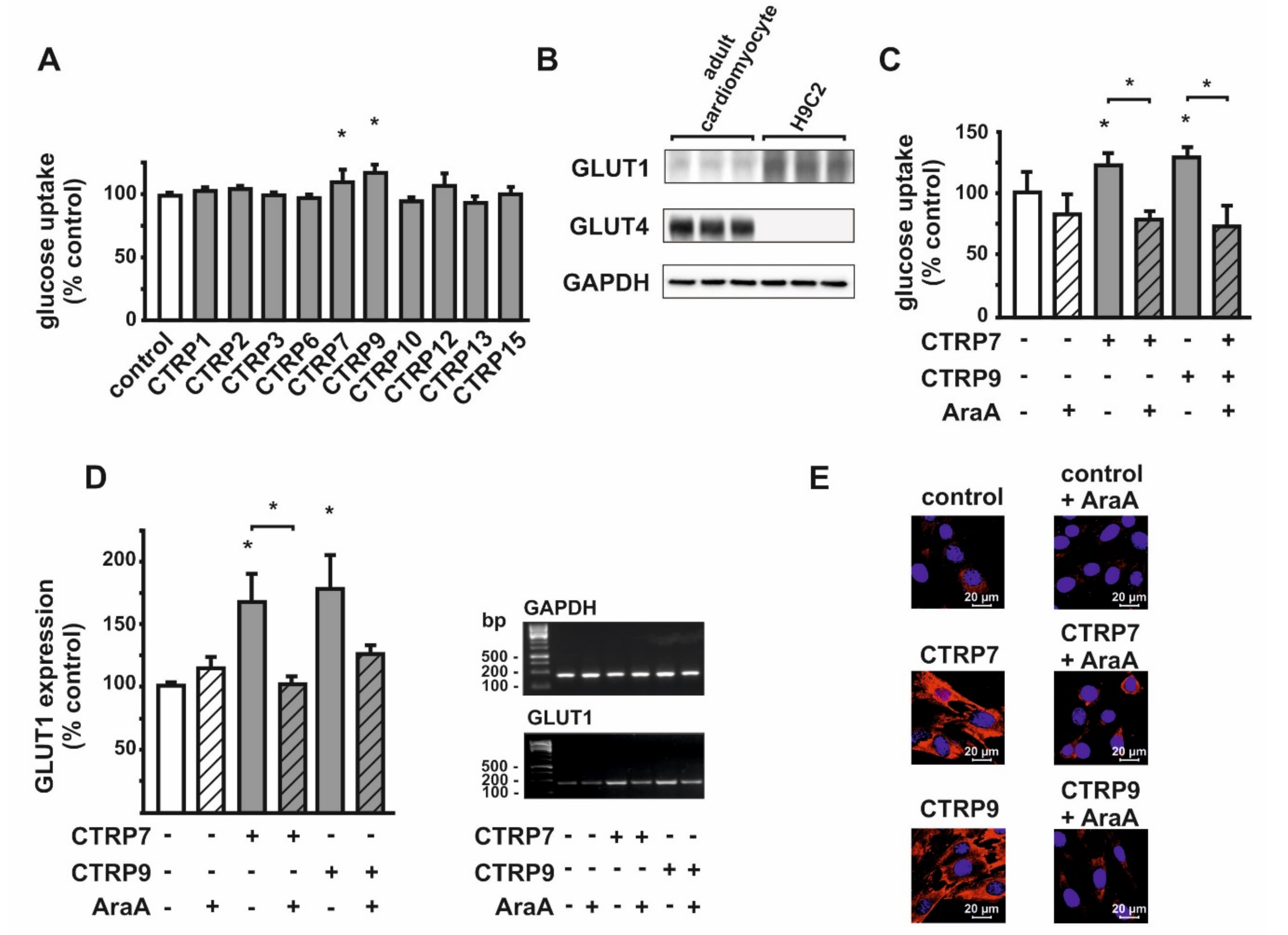 Cells 10 00905 g006 Cells 10 00905 g006
