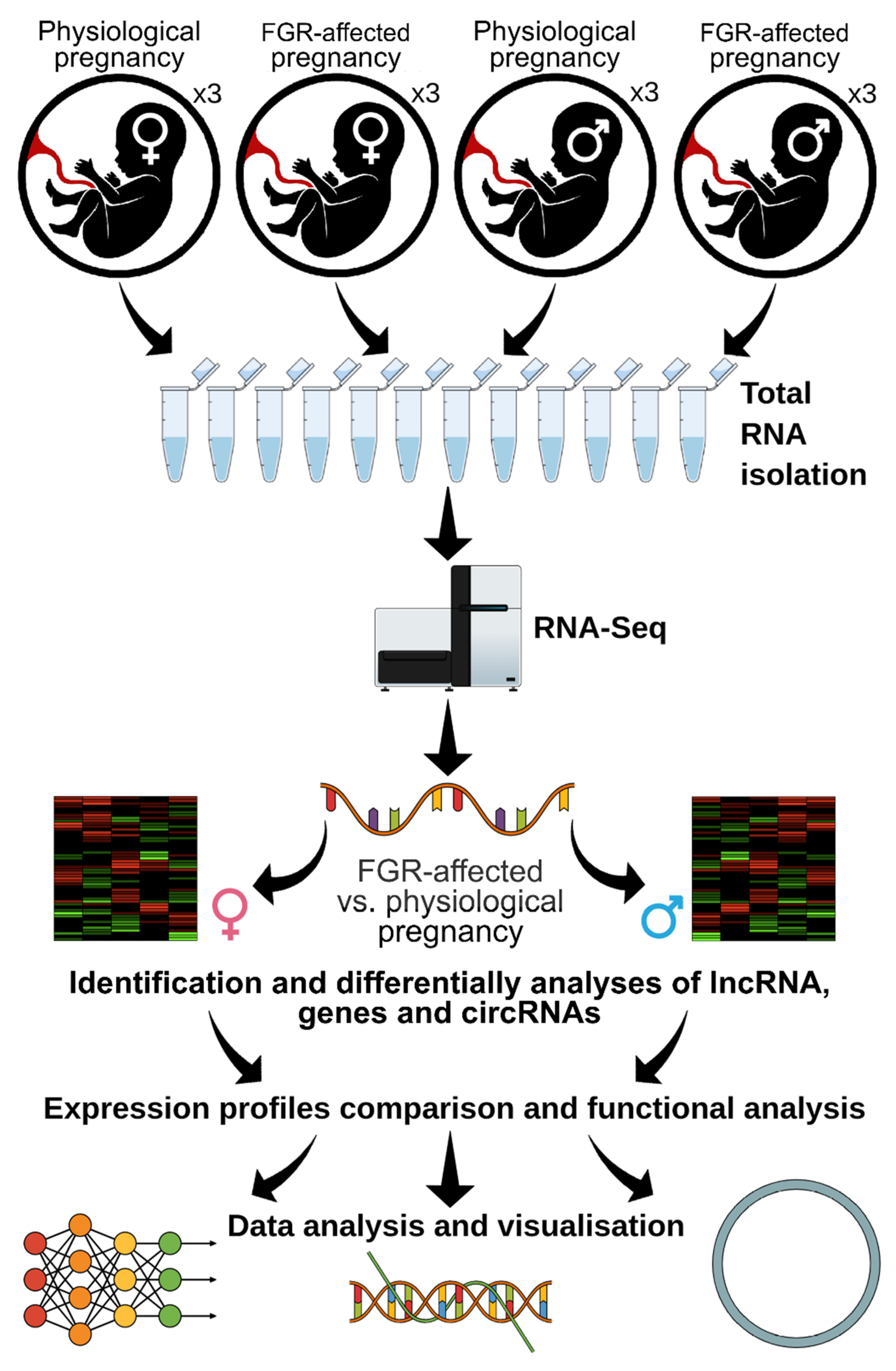 Cells 10 00921 g001 Cells 10 00921 g001
