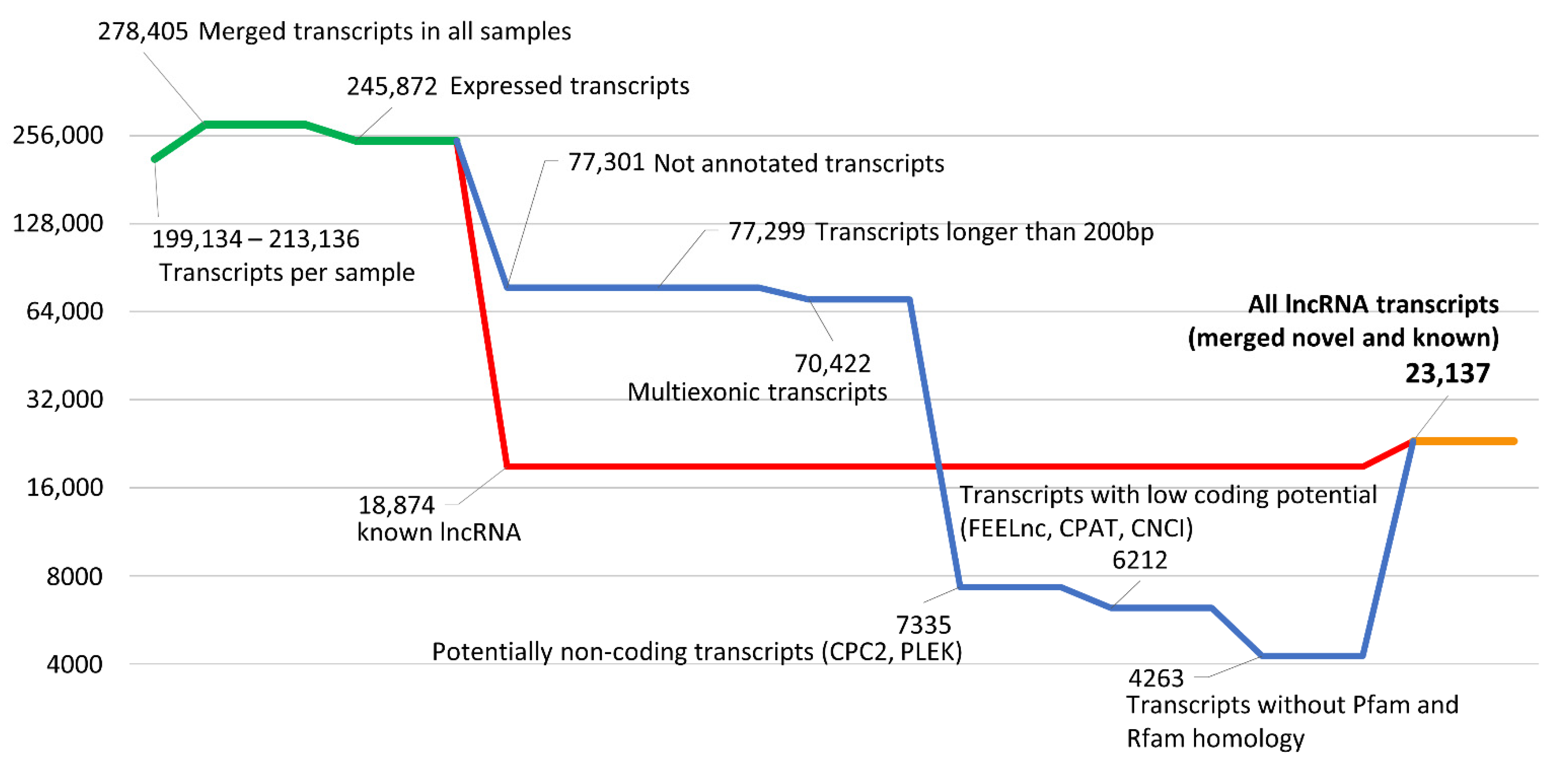 Cells 10 00921 g002 Cells 10 00921 g002