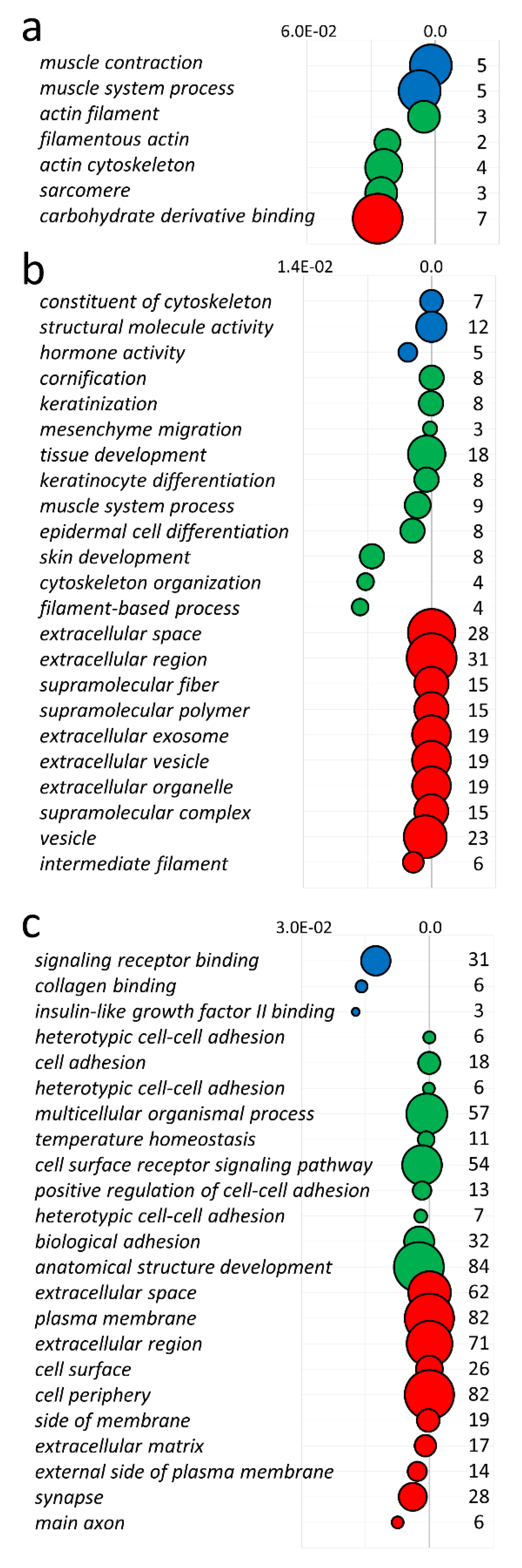 Cells 10 00921 g004 Cells 10 00921 g004