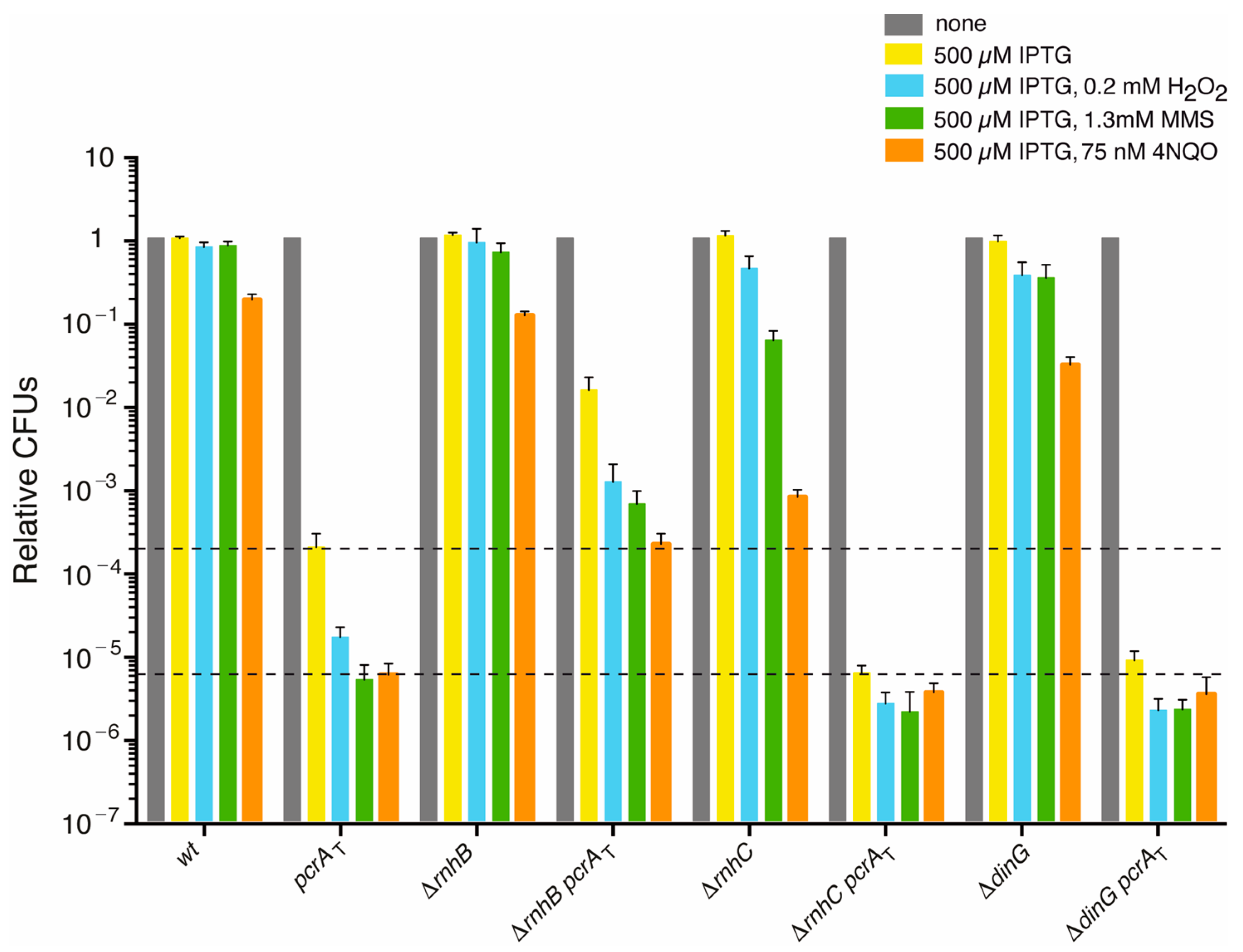 Cells 10 00935 g001 Cells 10 00935 g001