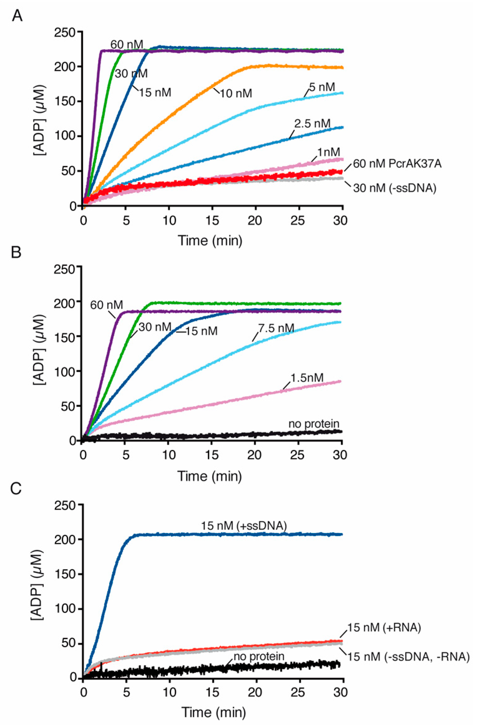Cells 10 00935 g004 Cells 10 00935 g004