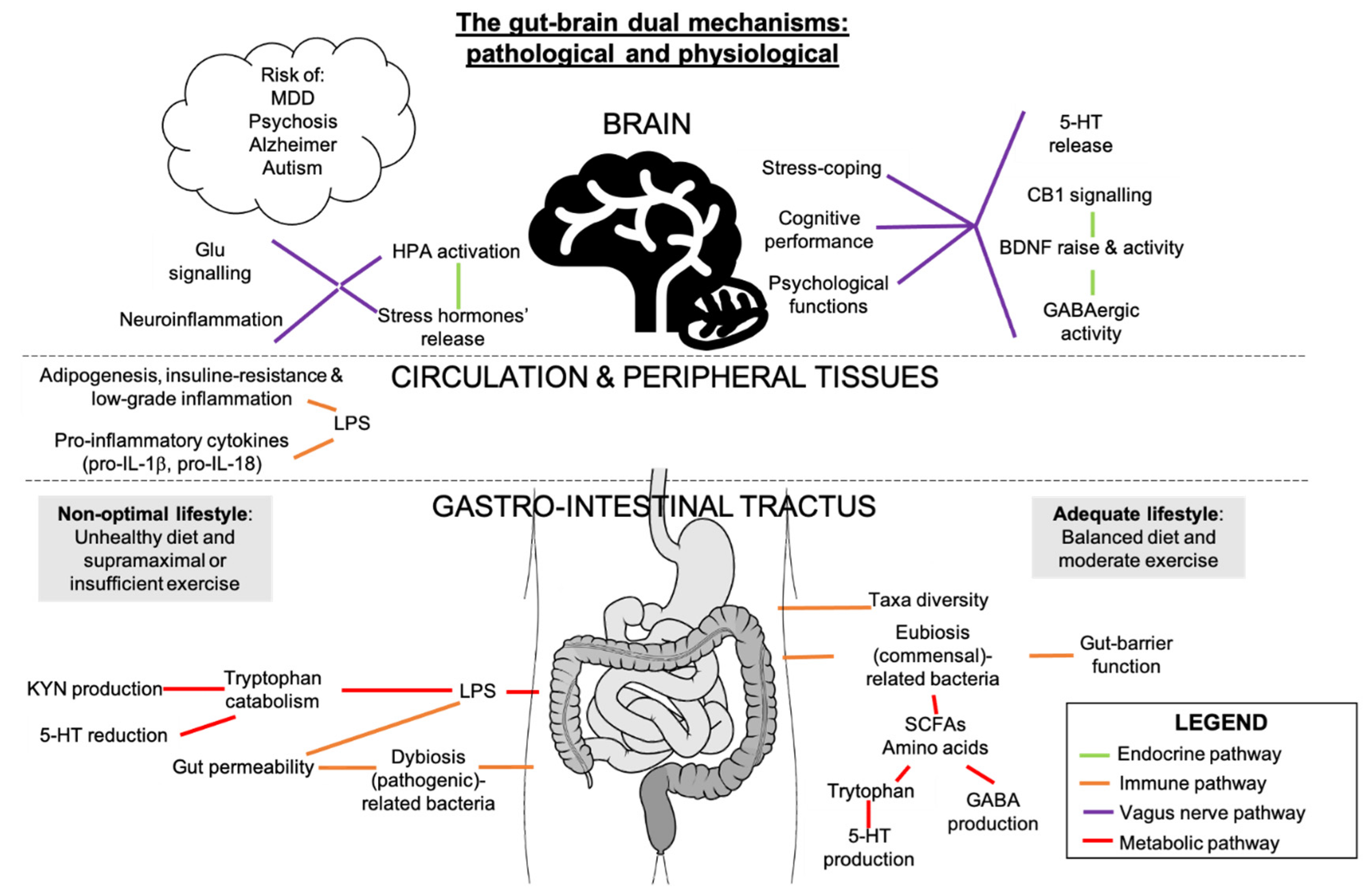 Cells 10 00938 g003 Cells 10 00938 g003