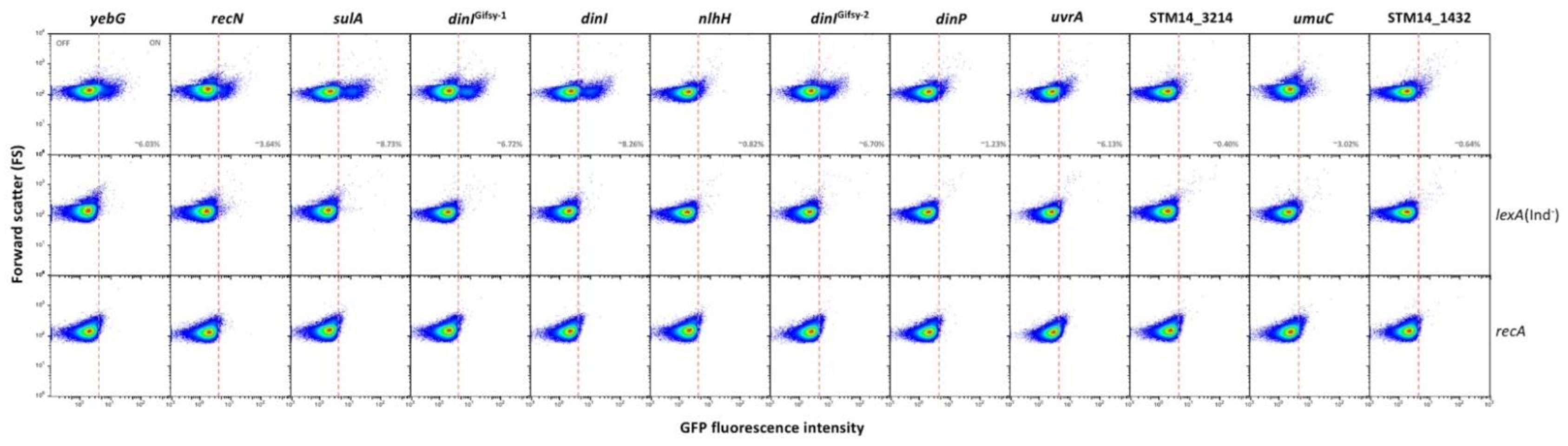 Cells 10 00943 g001 Cells 10 00943 g001