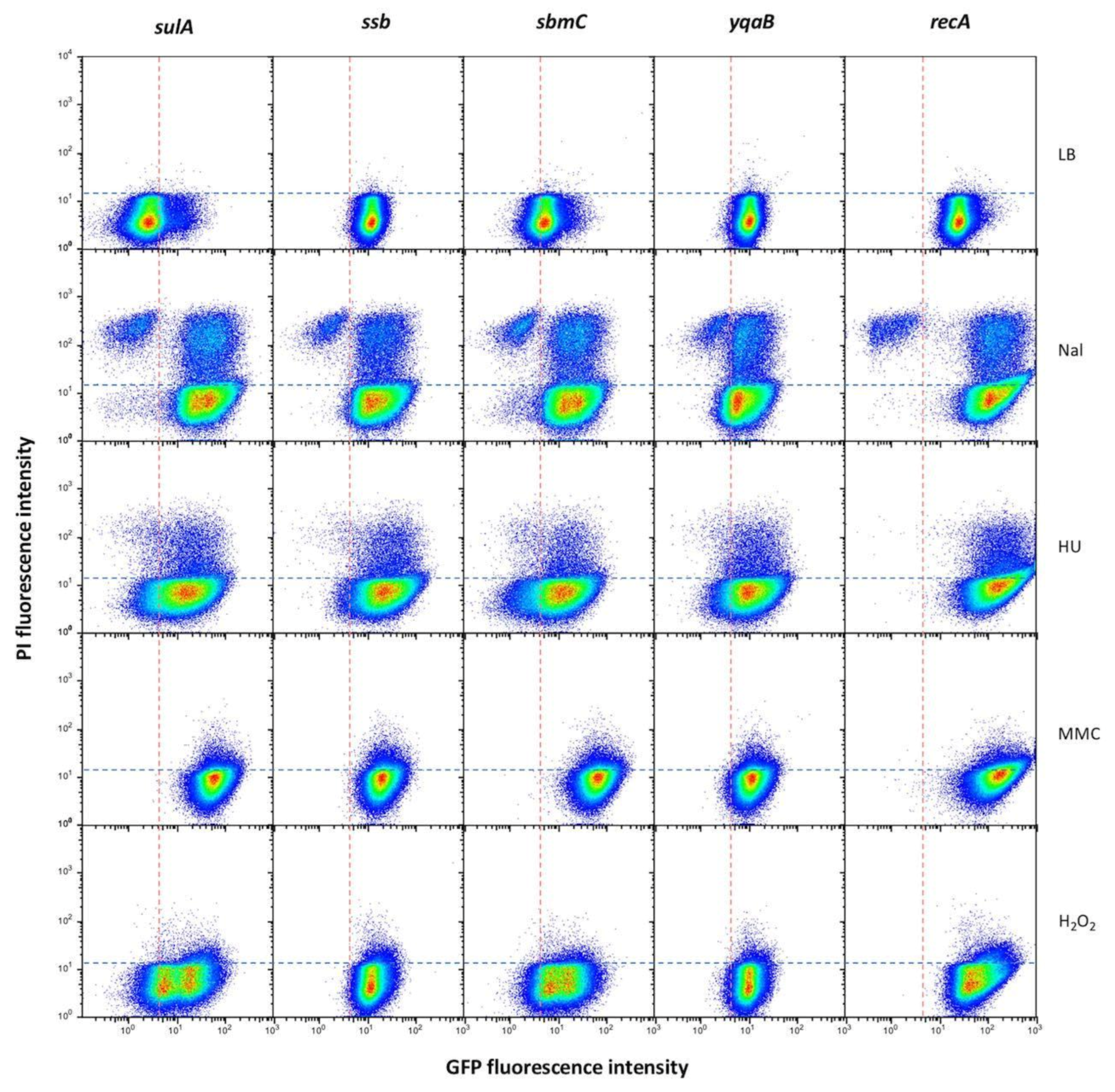 Cells 10 00943 g007 Cells 10 00943 g007