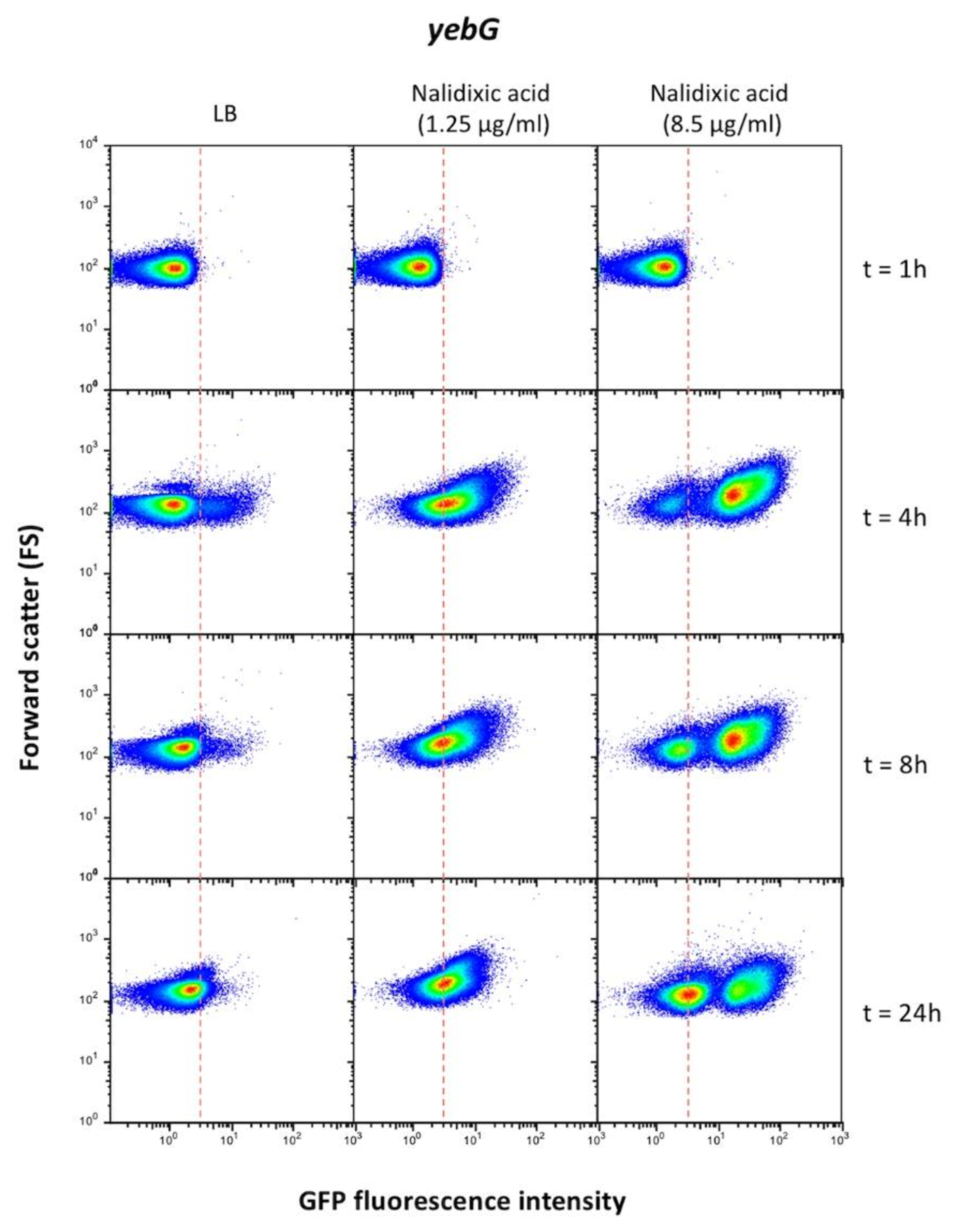 Cells 10 00943 g008 Cells 10 00943 g008