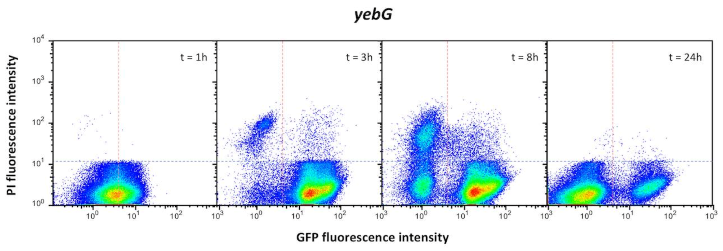 Cells 10 00943 g009 Cells 10 00943 g009