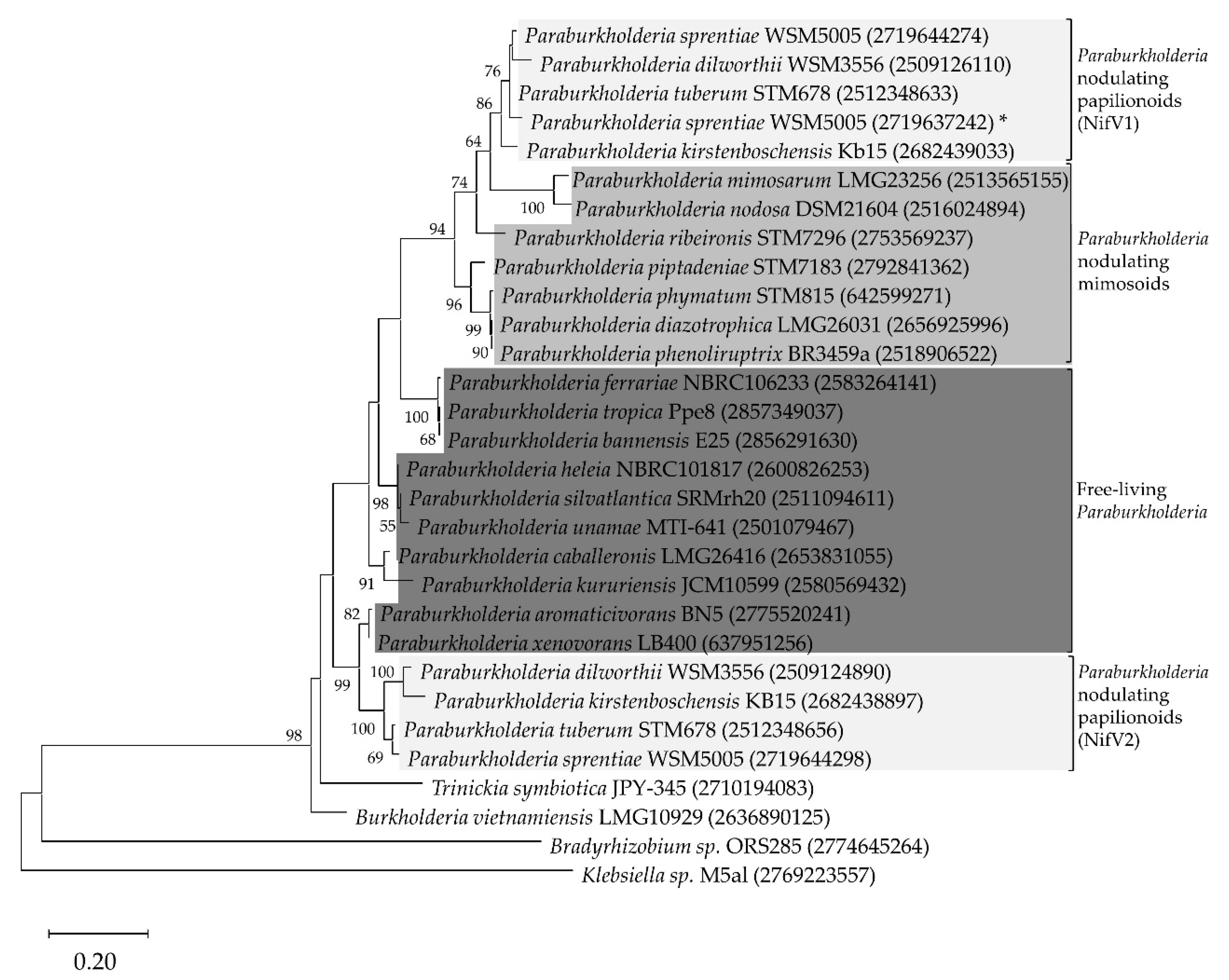 Cells 10 00952 g001 Cells 10 00952 g001