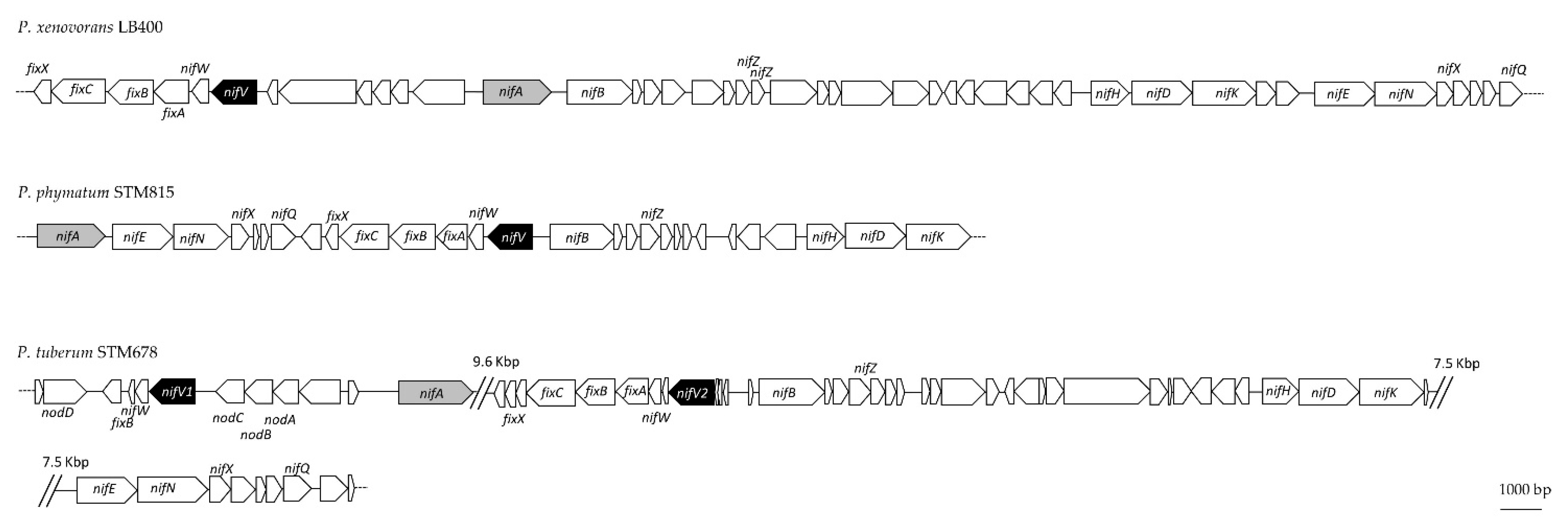 Cells 10 00952 g002 Cells 10 00952 g002