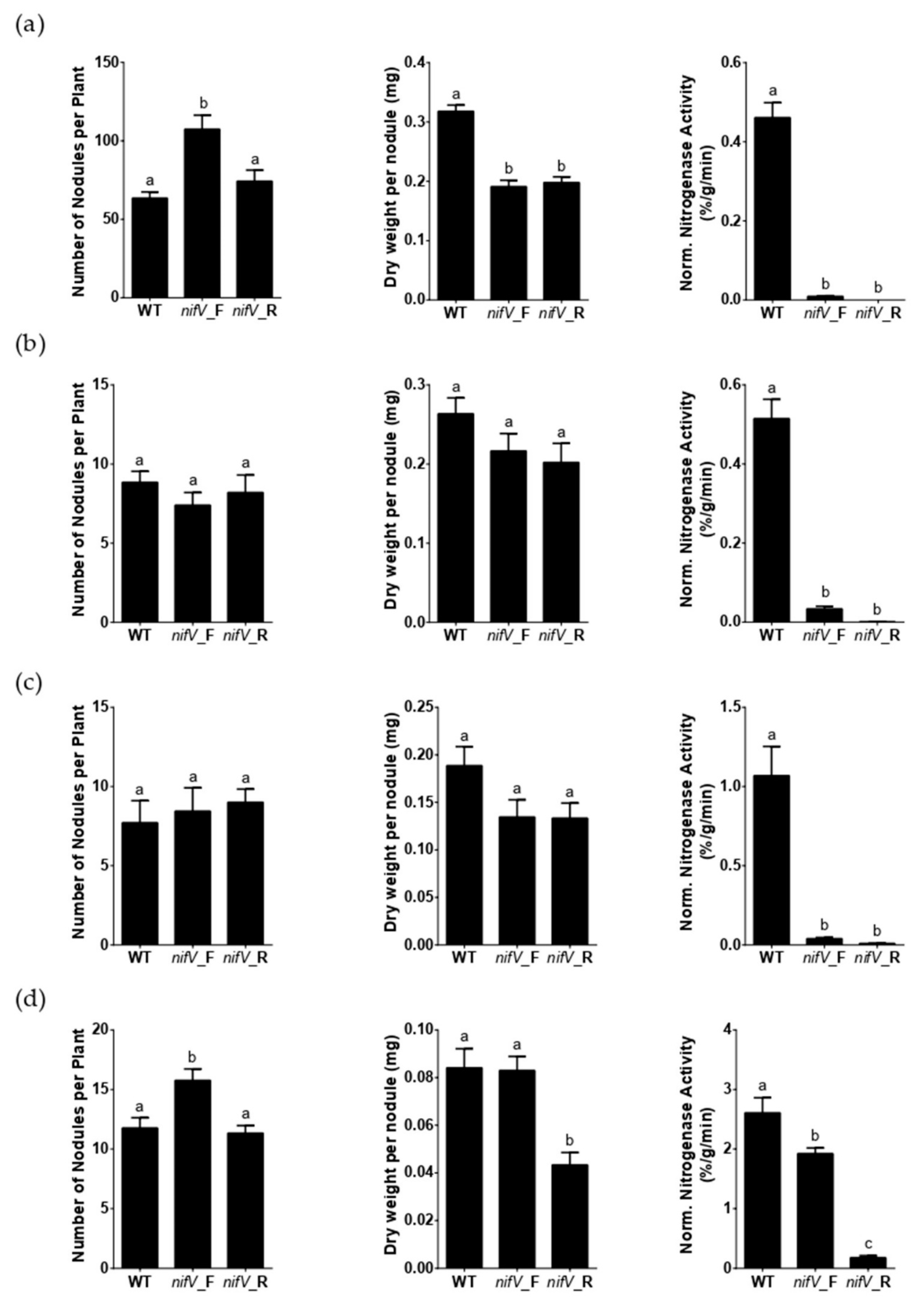 Cells 10 00952 g003 Cells 10 00952 g003