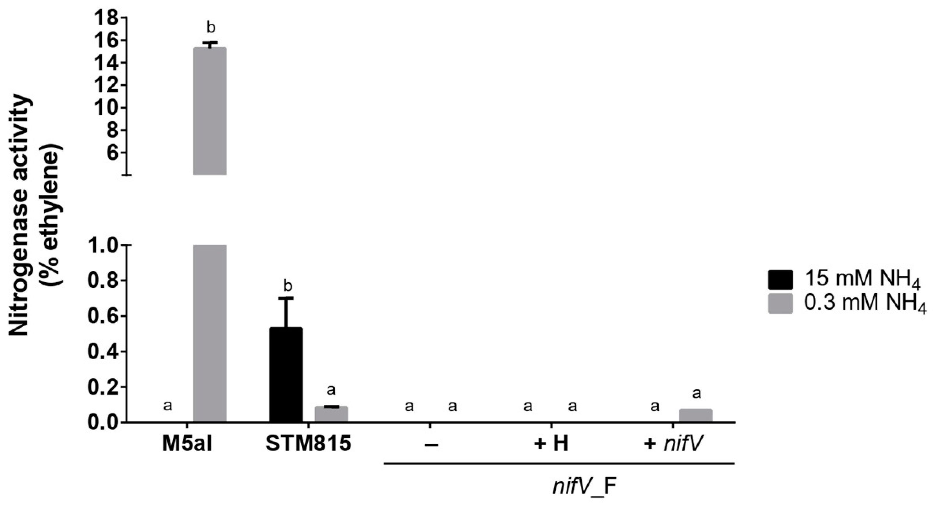 Cells 10 00952 g004 Cells 10 00952 g004