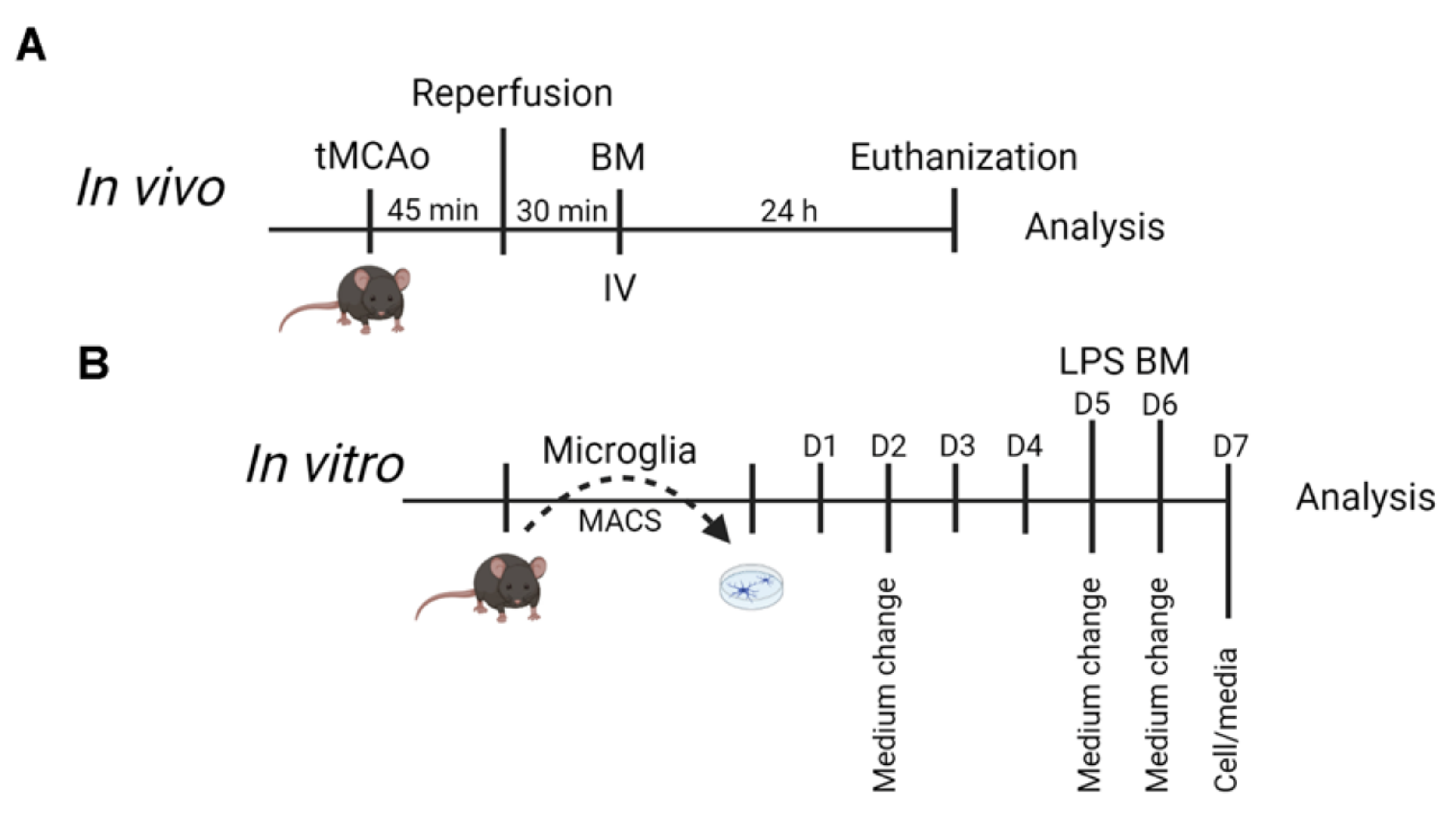 Cells 10 00956 g001 Cells 10 00956 g001
