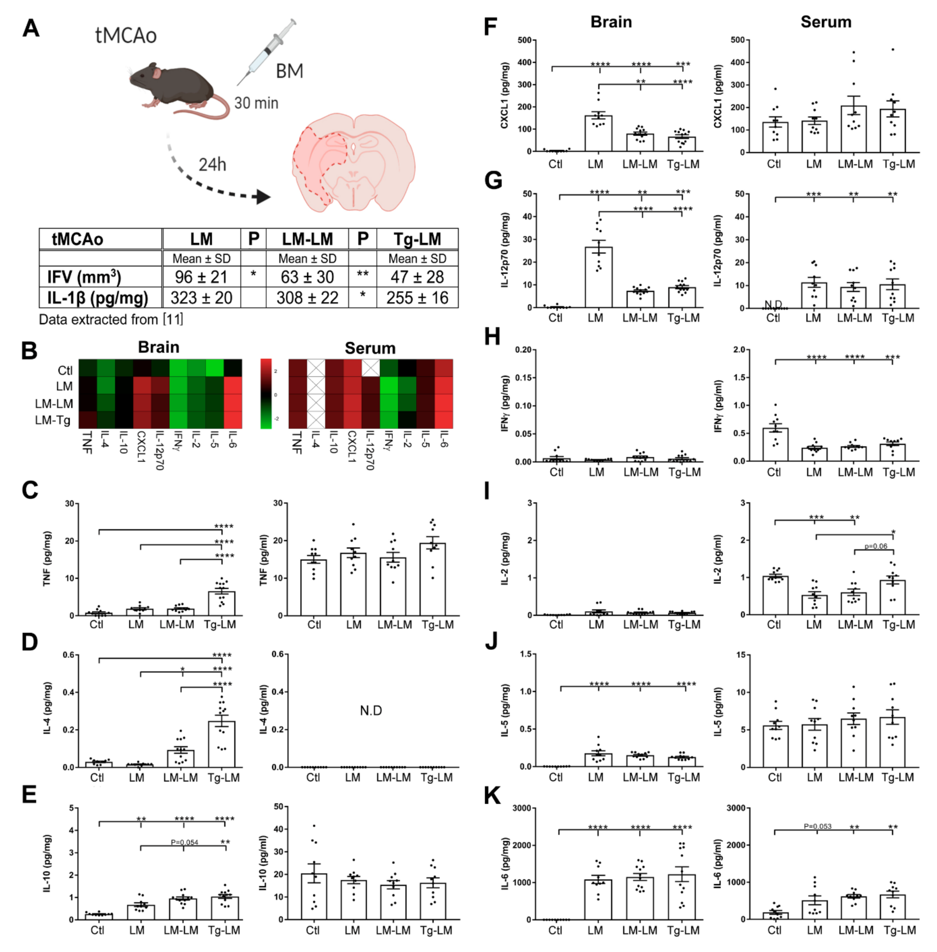 Cells 10 00956 g003 Cells 10 00956 g003