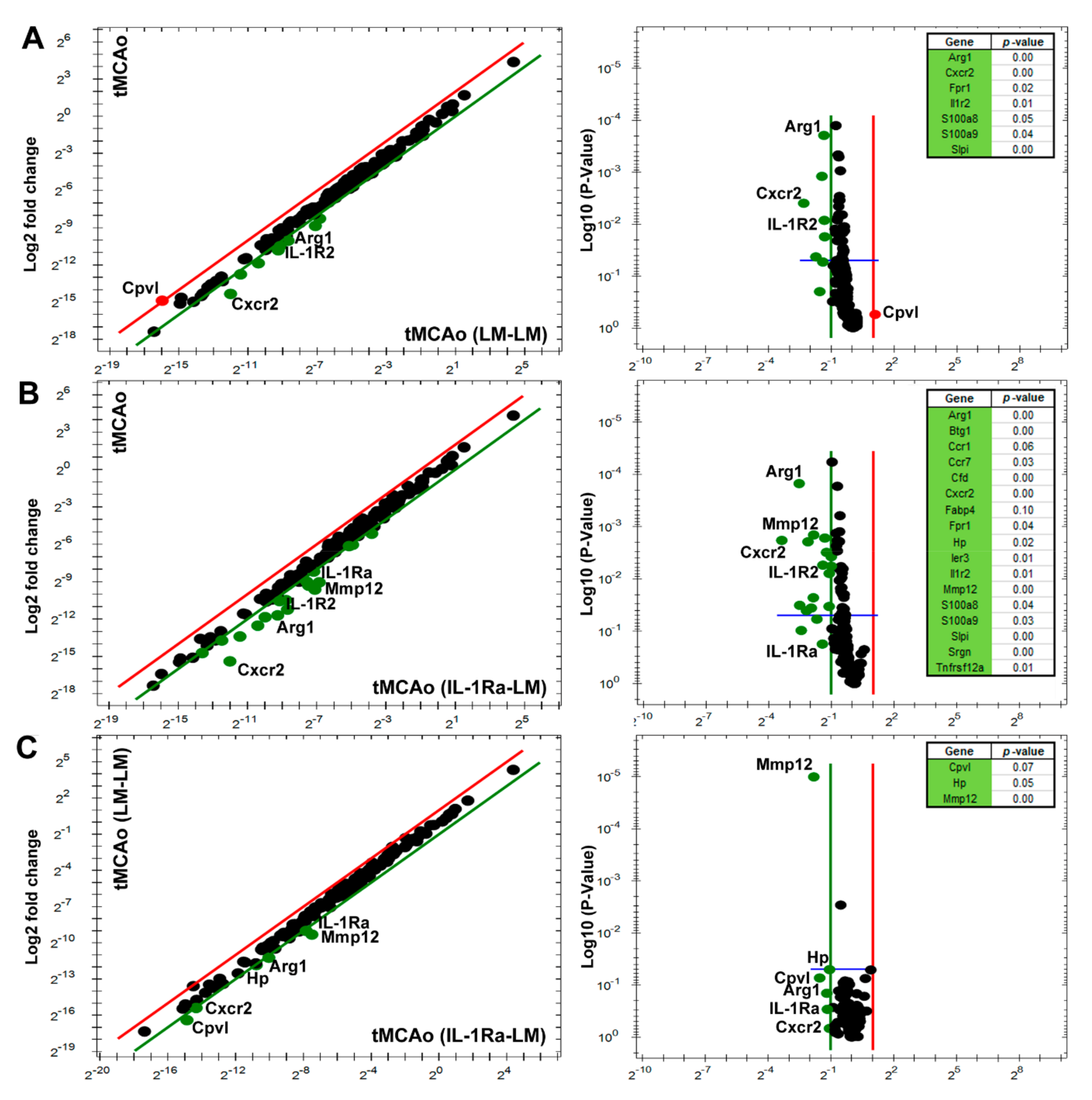Cells 10 00956 g004 Cells 10 00956 g004