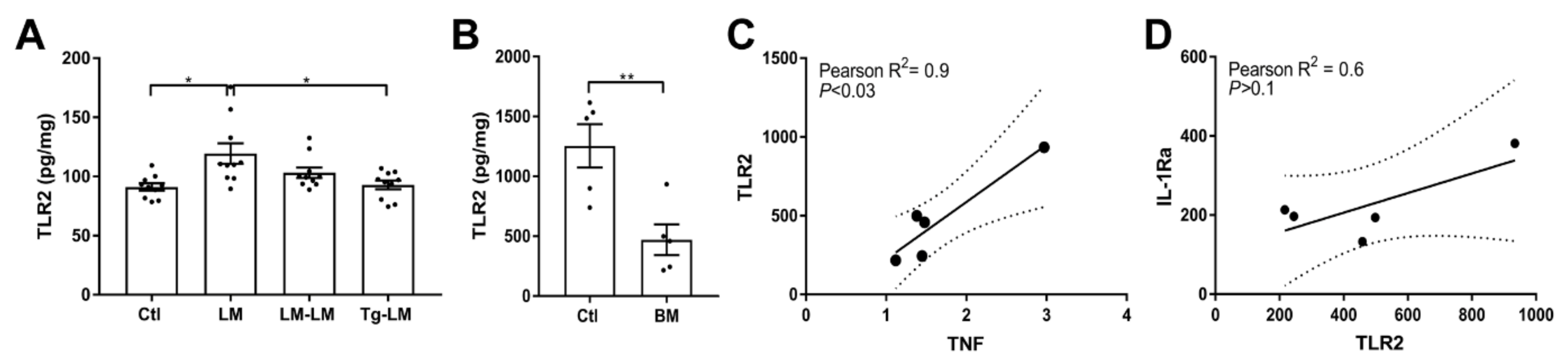 Cells 10 00956 g007 Cells 10 00956 g007