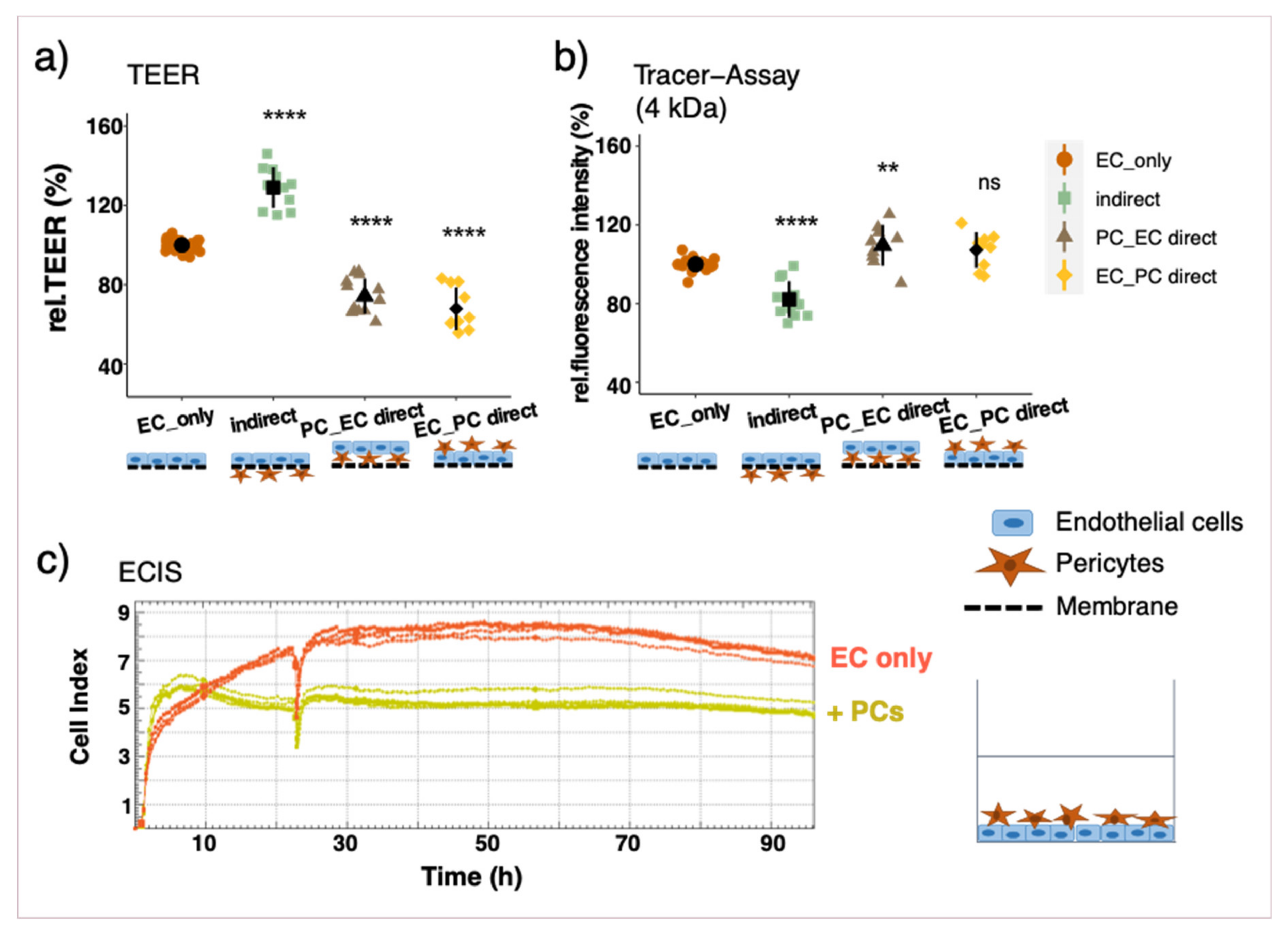 Cells 10 00963 g003 Cells 10 00963 g003