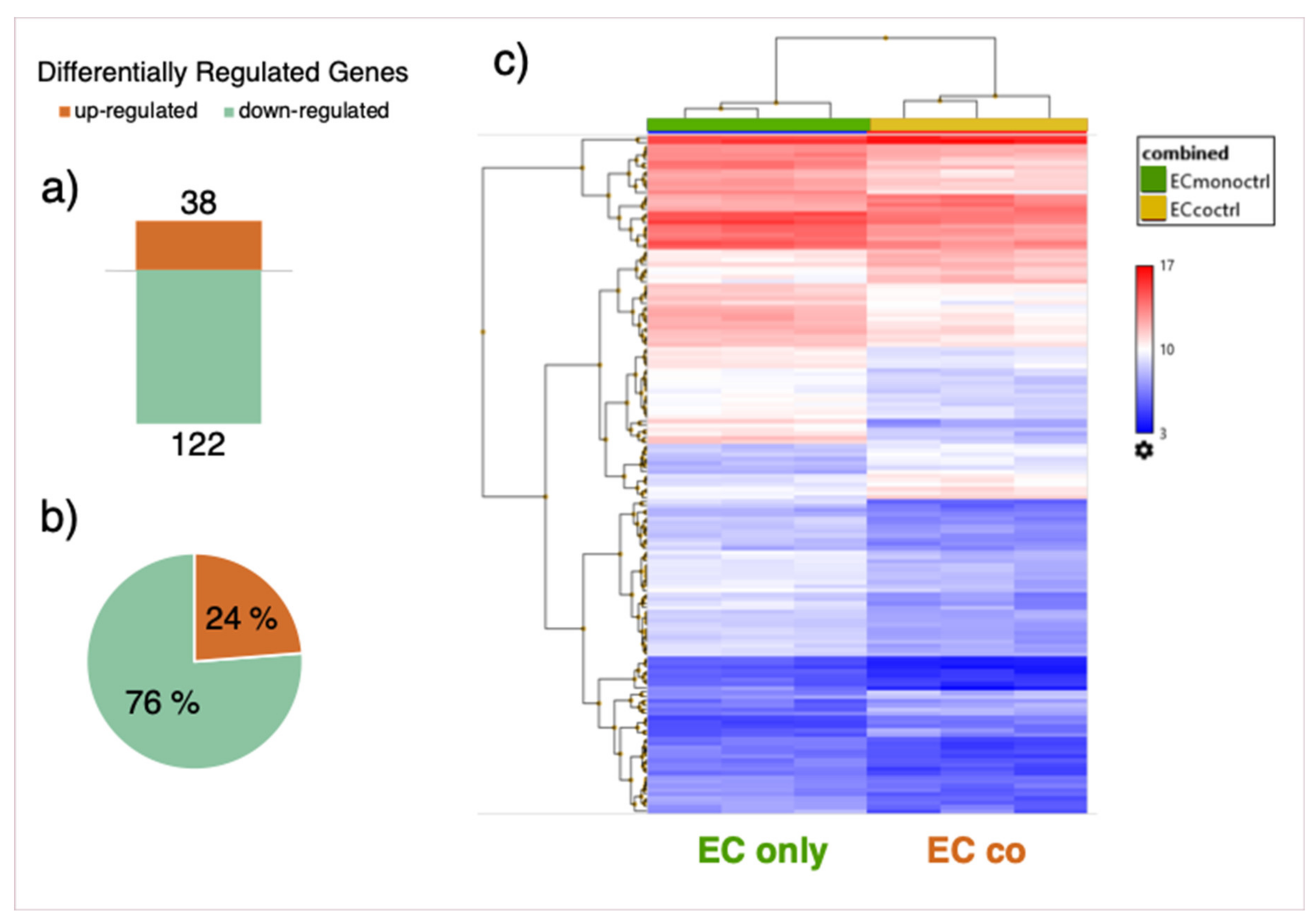 Cells 10 00963 g006 Cells 10 00963 g006