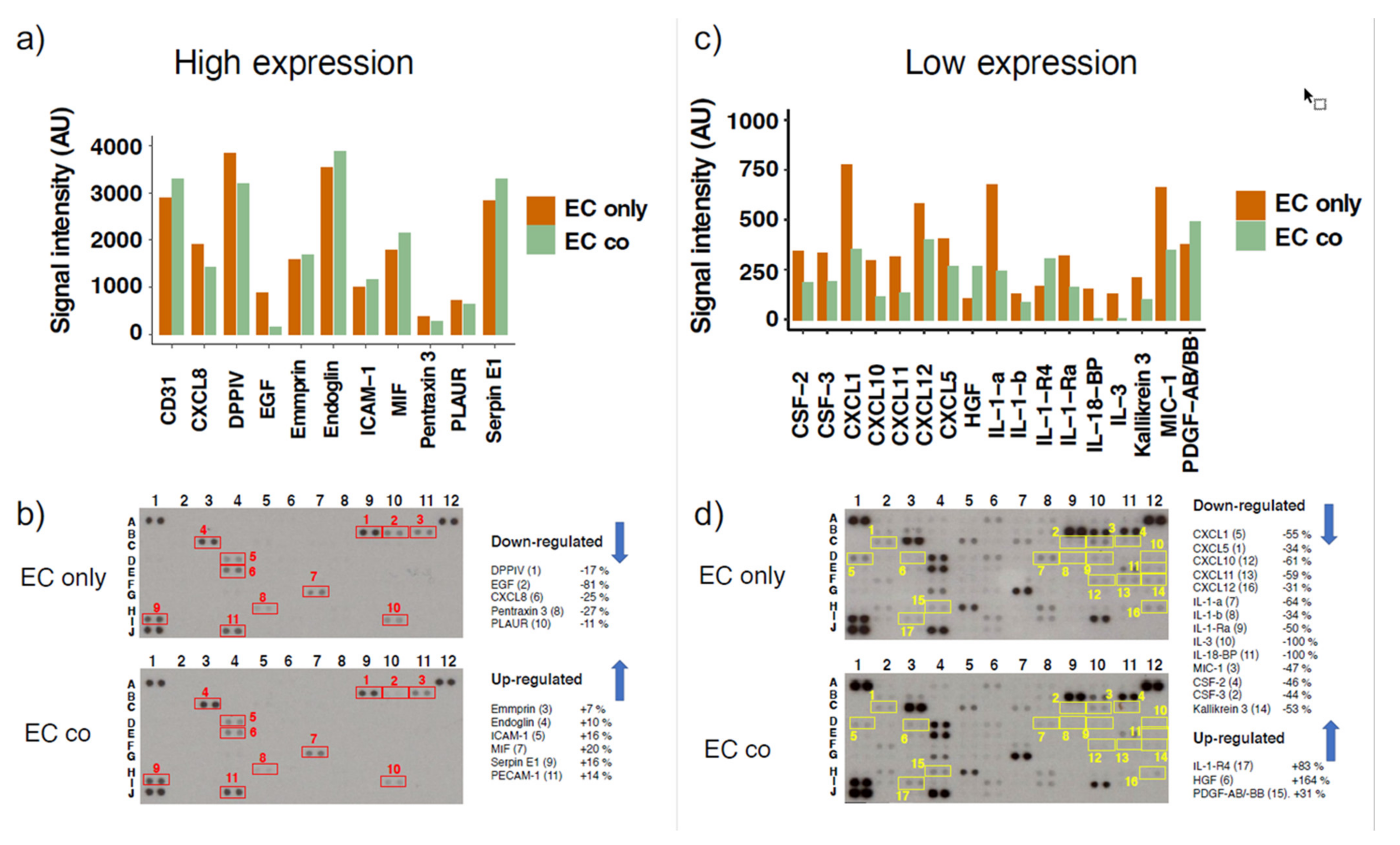 Cells 10 00963 g007 Cells 10 00963 g007