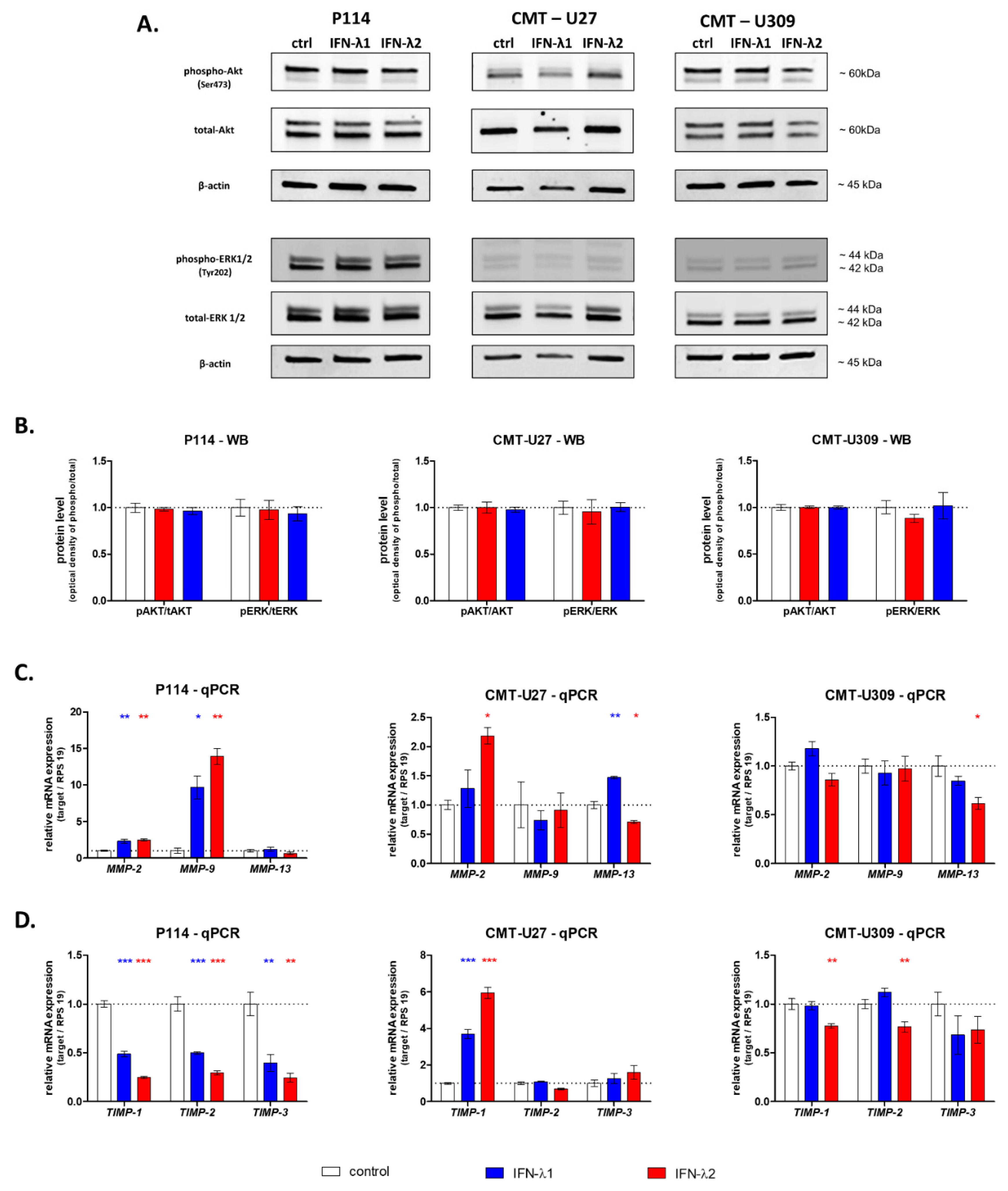 Cells 10 00999 g004 Cells 10 00999 g004