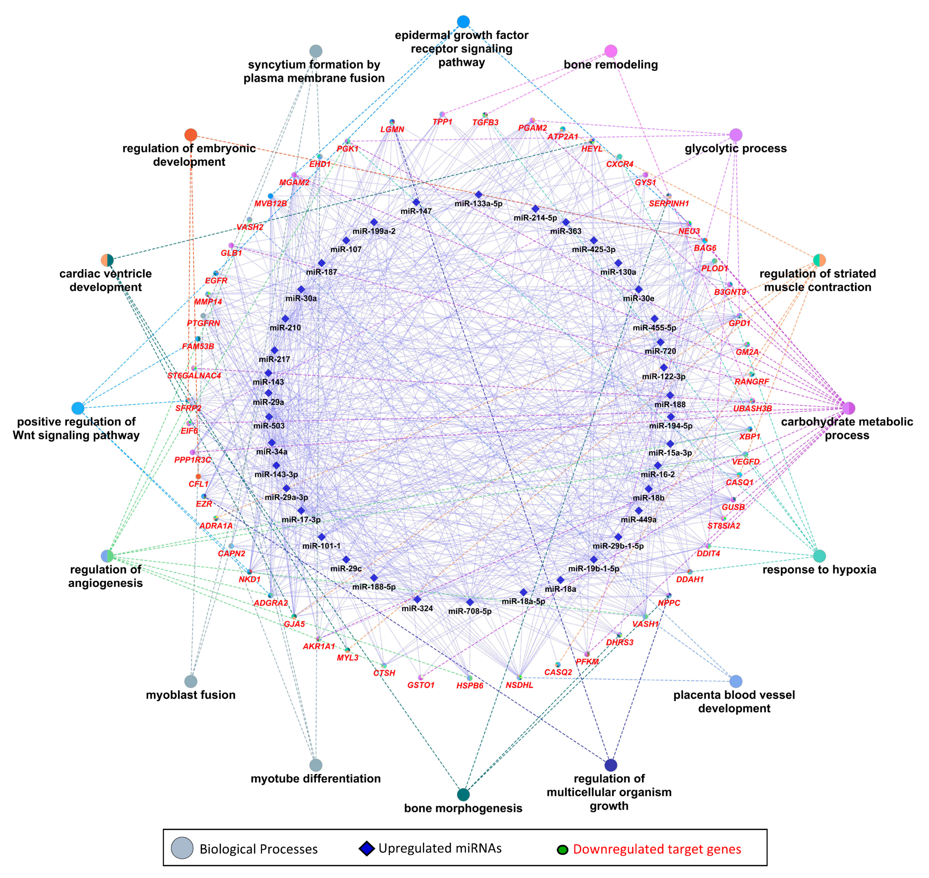 Cells 10 01007 g005 Cells 10 01007 g005