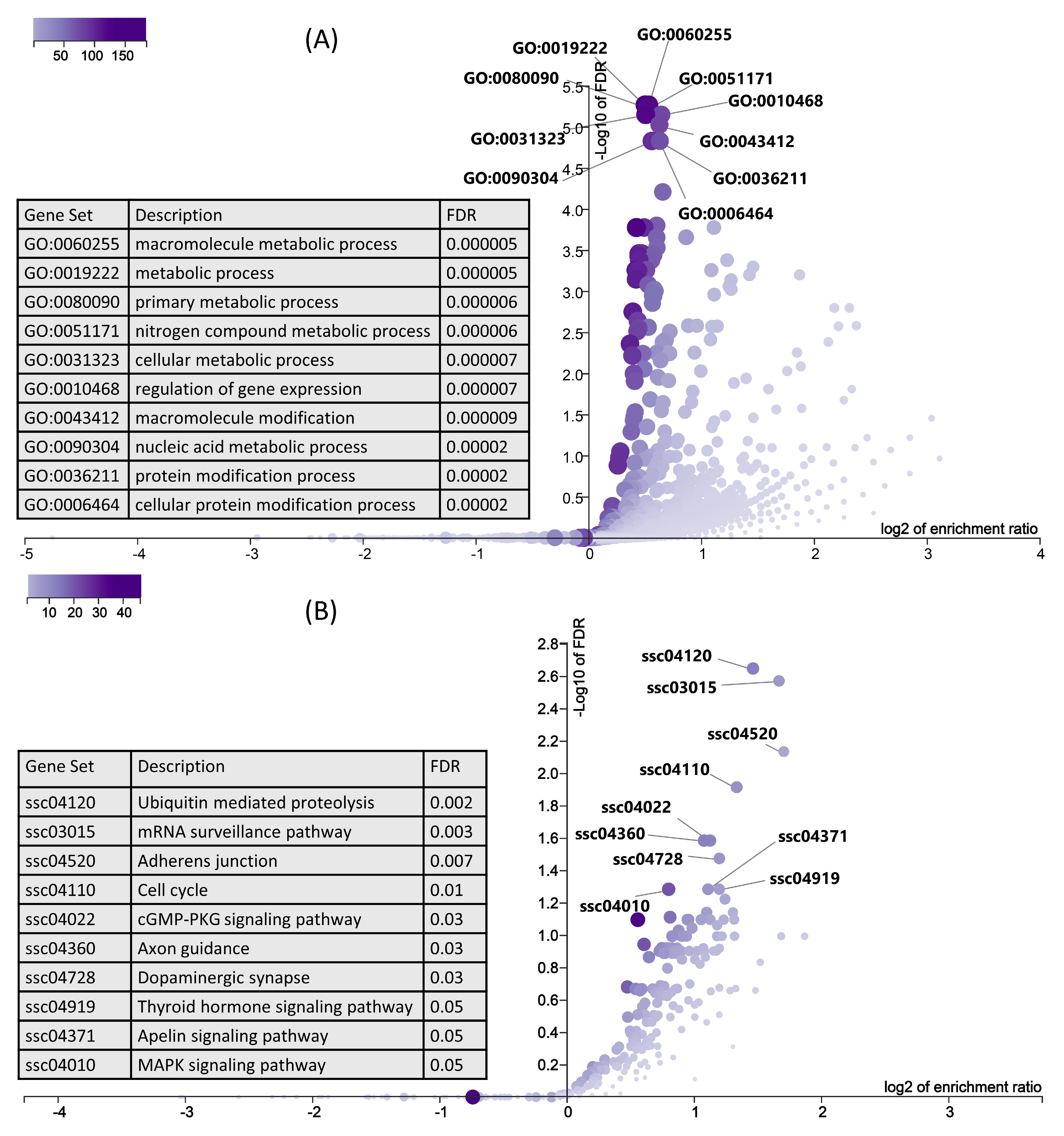 Cells 10 01007 g007 Cells 10 01007 g007