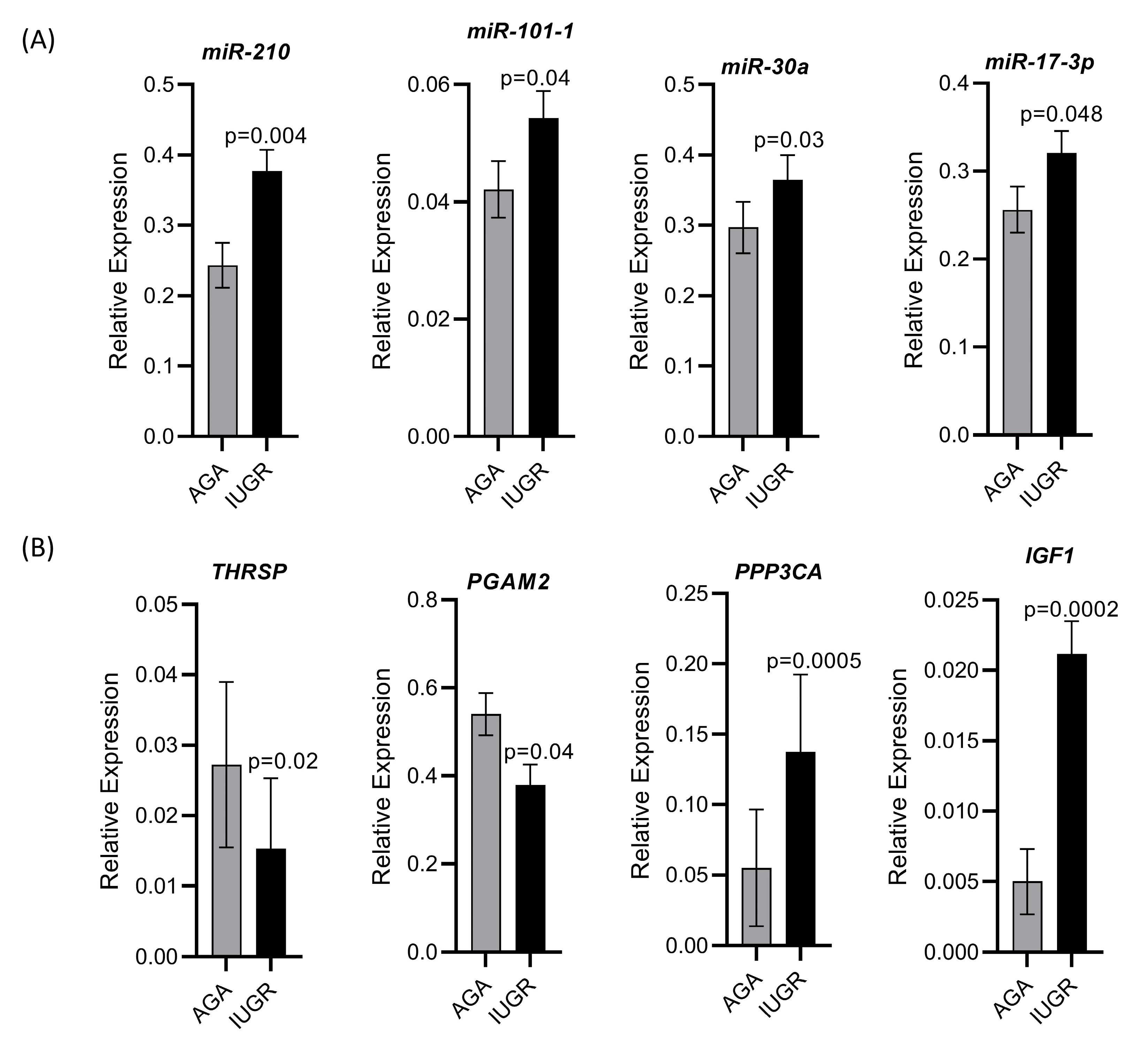 Cells 10 01007 g009 Cells 10 01007 g009