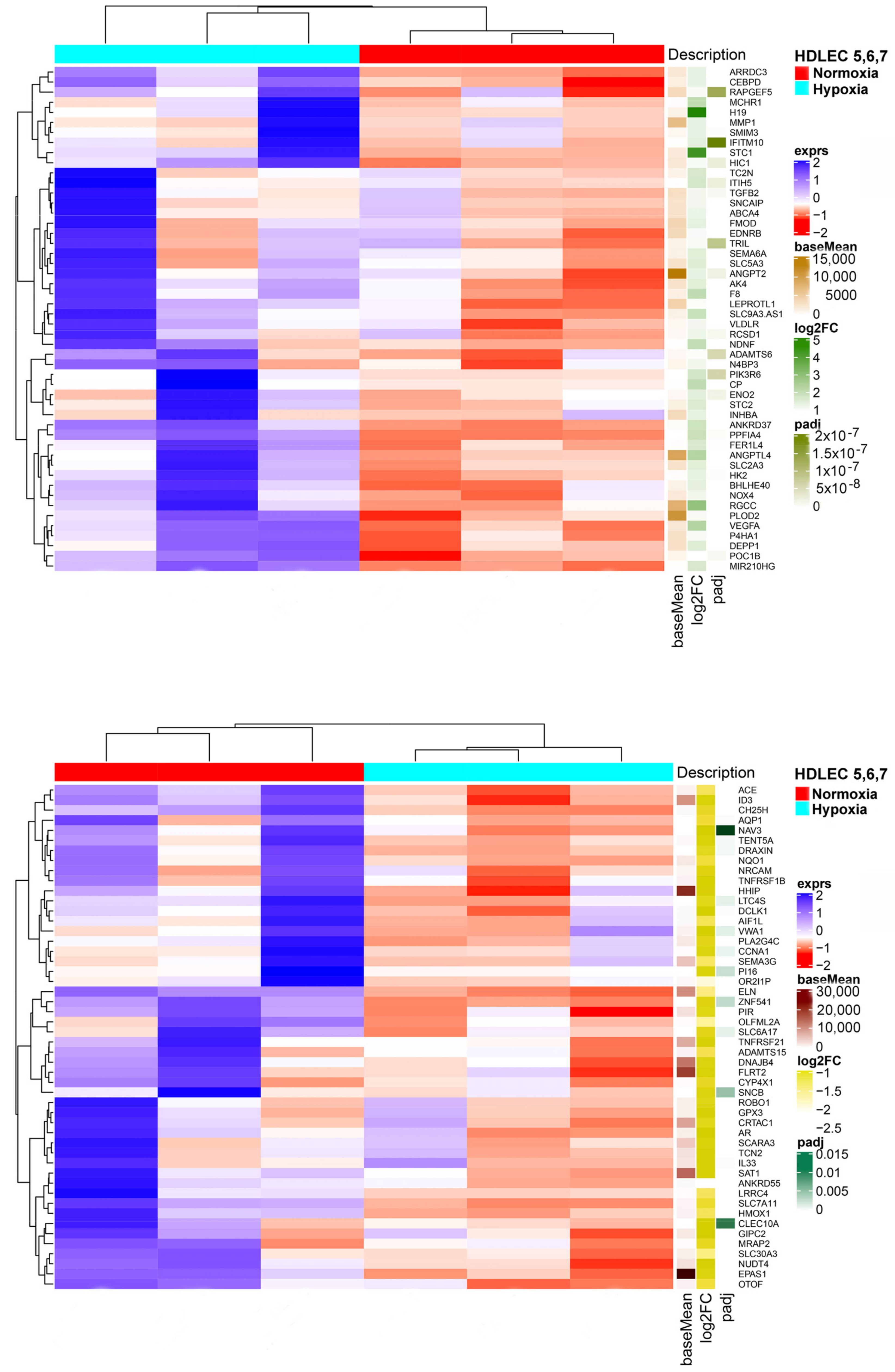 Cells 10 01008 g003 Cells 10 01008 g003