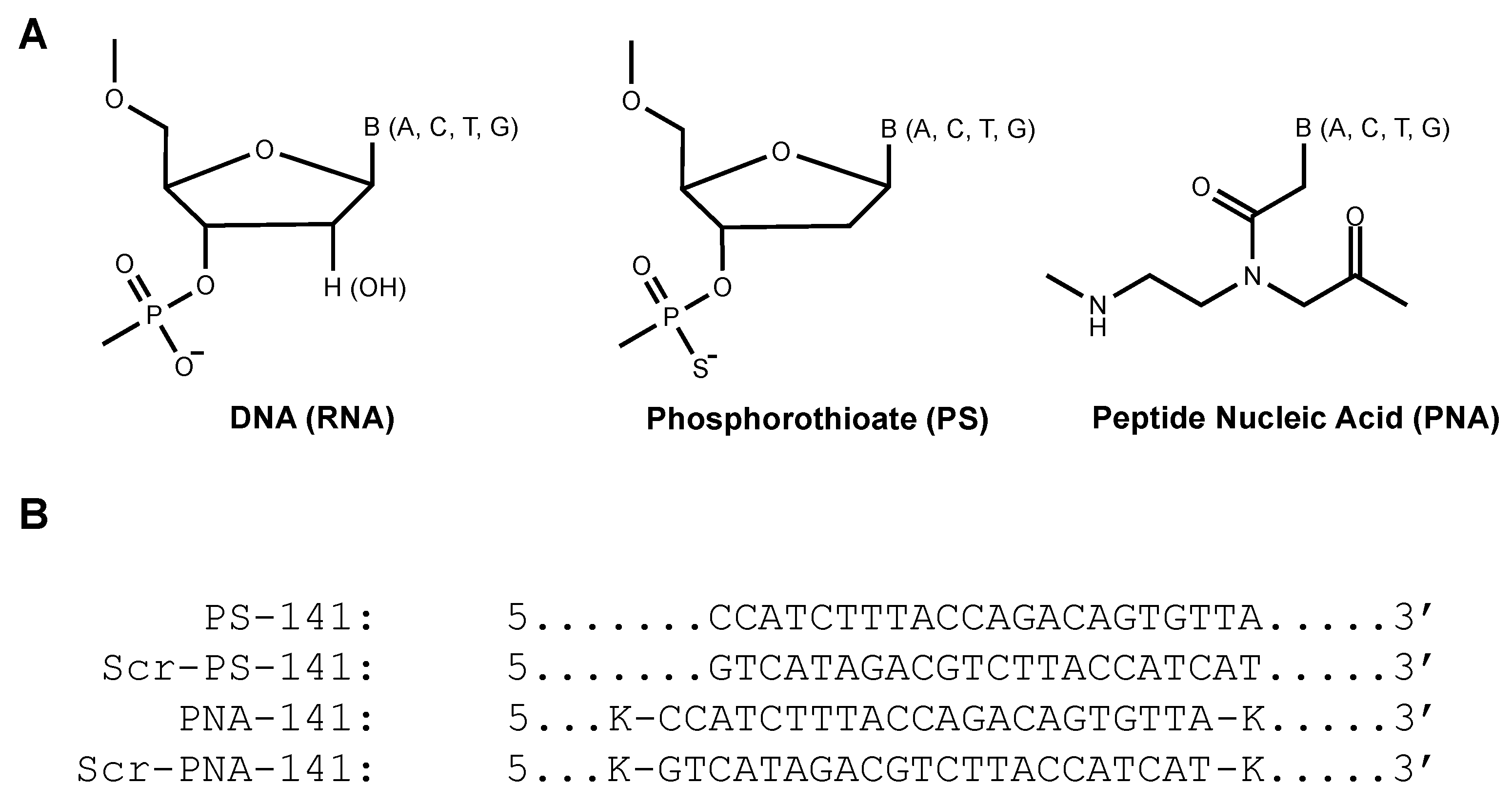 Cells 10 01011 g001 Cells 10 01011 g001
