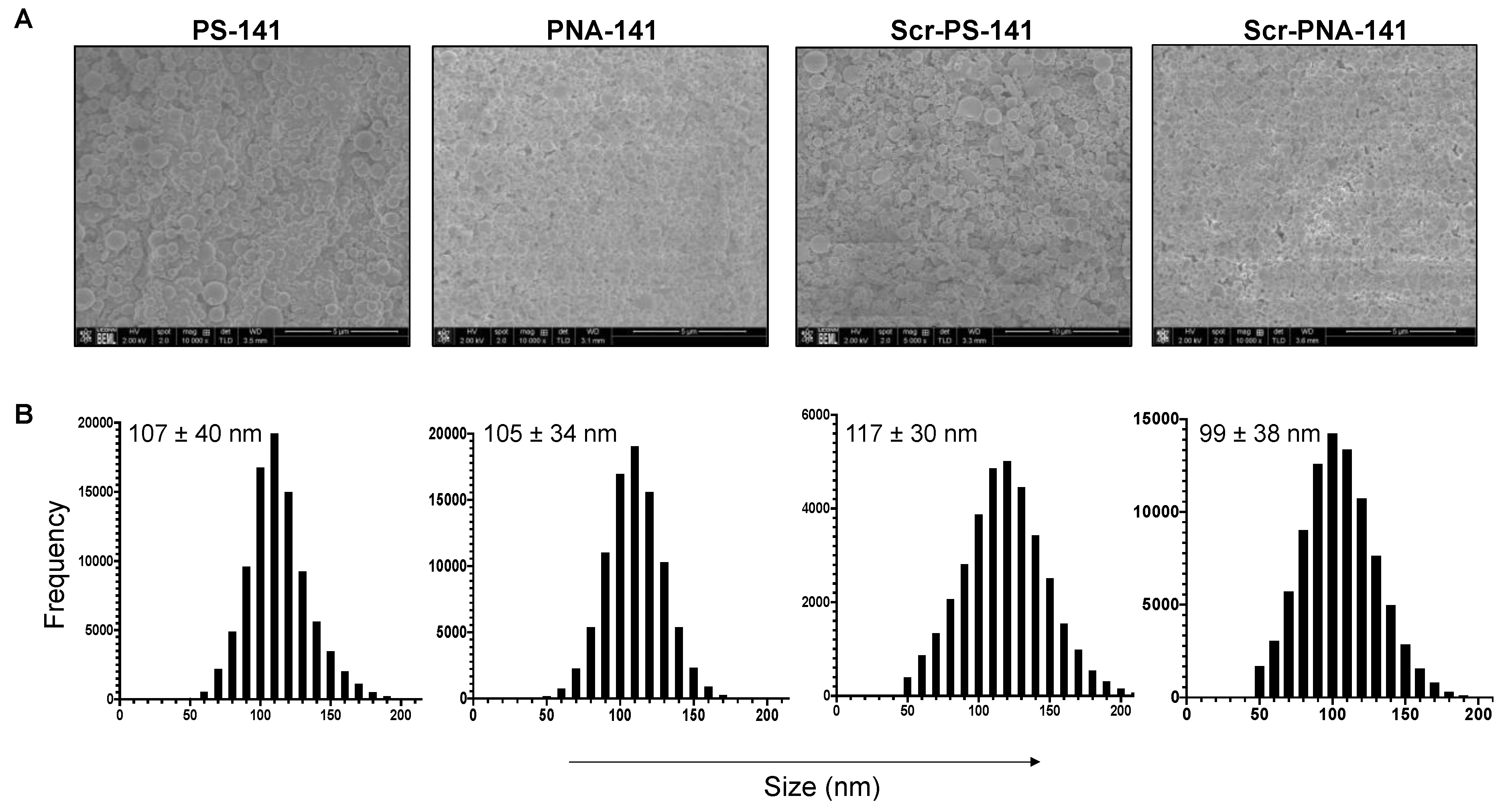 Cells 10 01011 g003 Cells 10 01011 g003