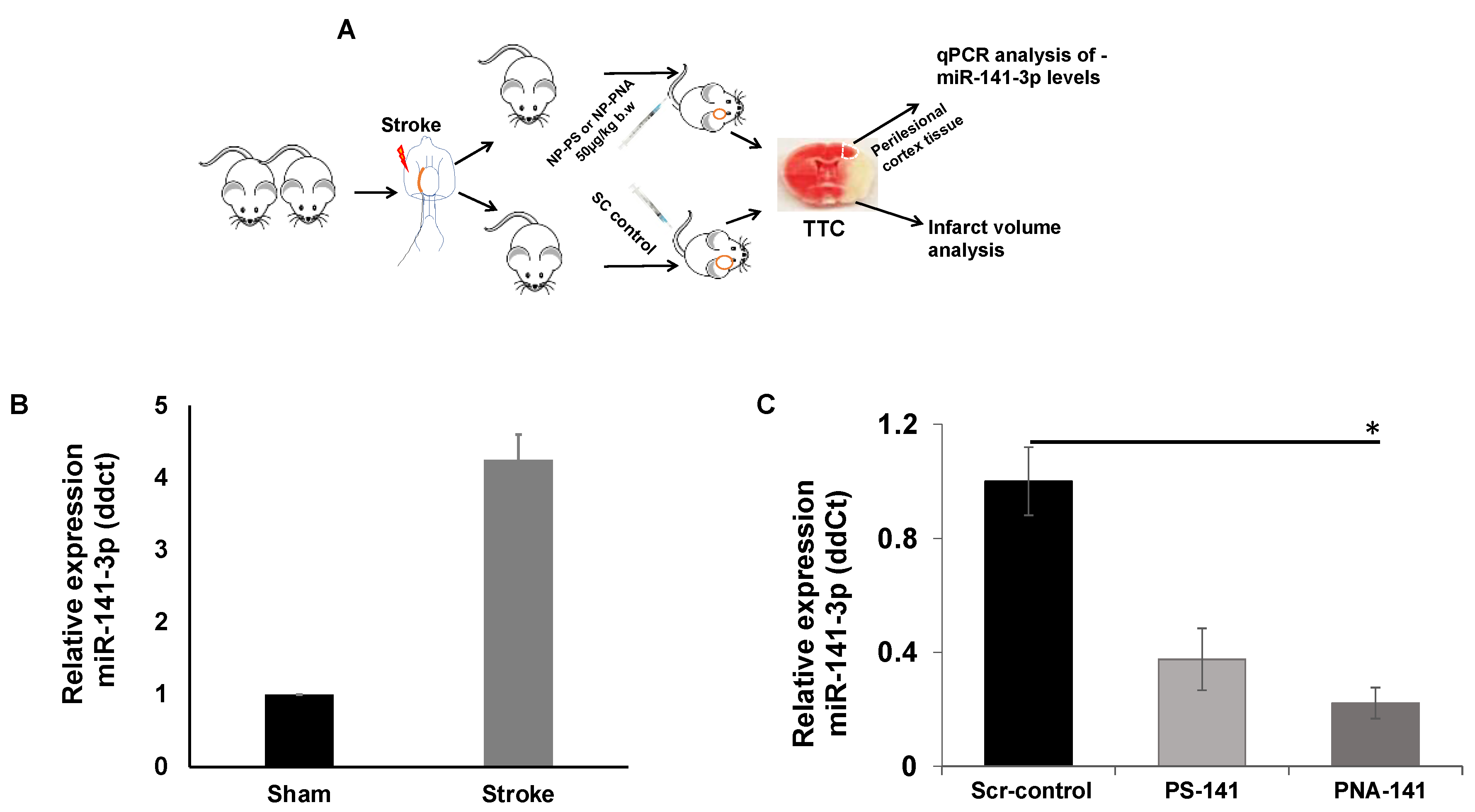 Cells 10 01011 g008 Cells 10 01011 g008