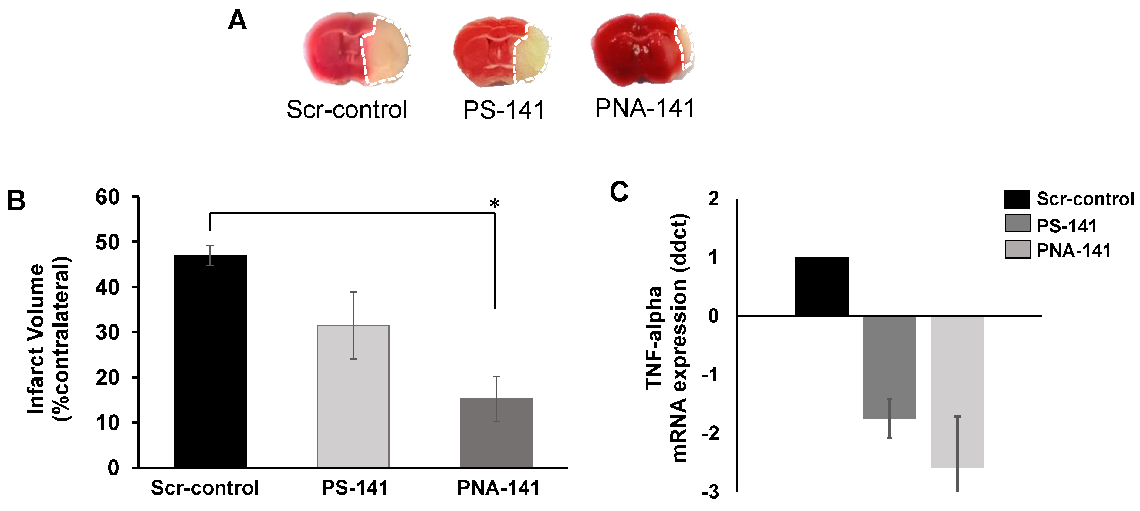 Cells 10 01011 g009 Cells 10 01011 g009