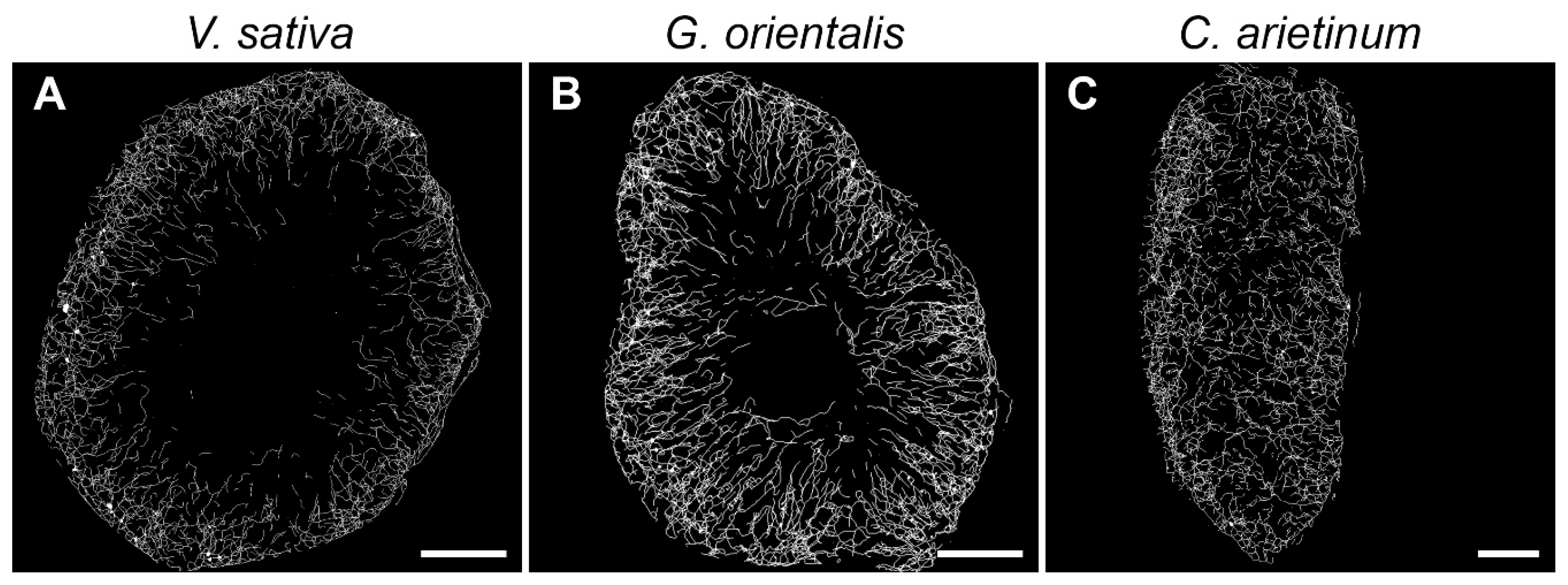 Cells 10 01012 g007